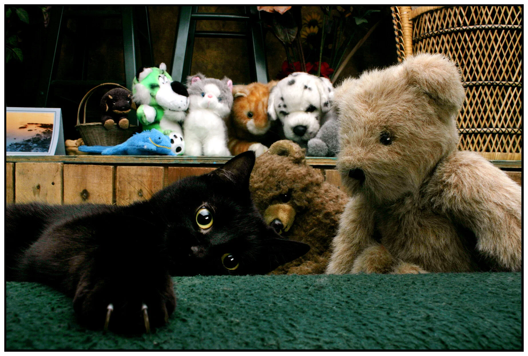 CC & Friends_7442_4x6s.jpg