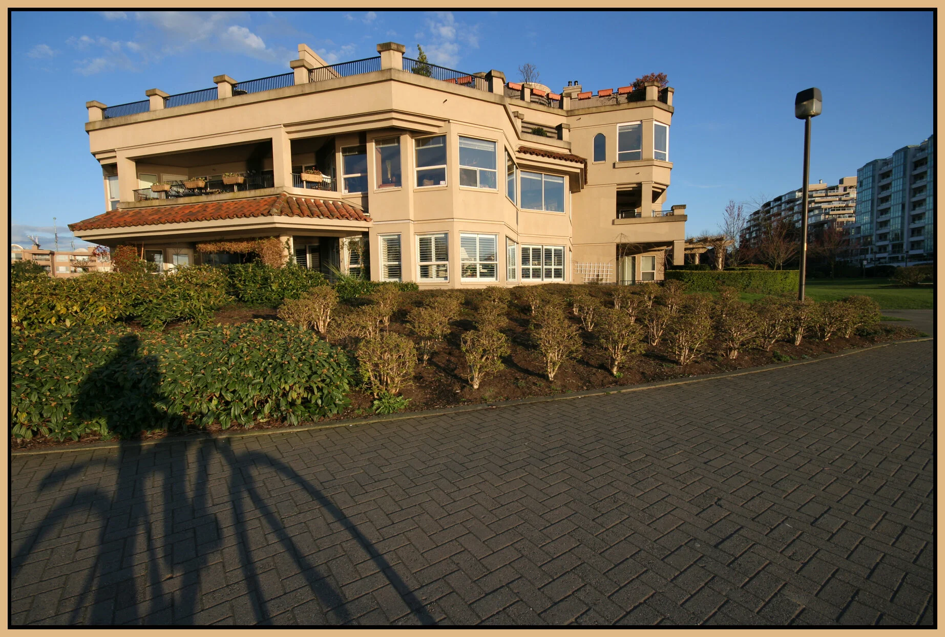 False Ck Shadows_1928_4x6s.jpg