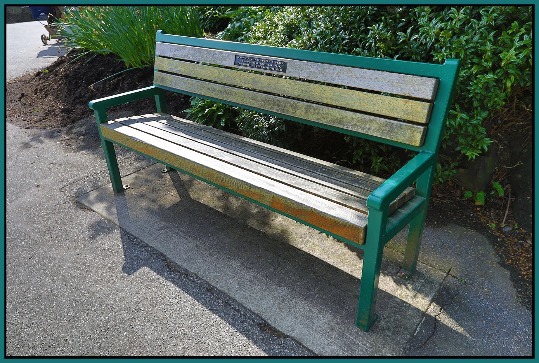 Bench in Queen E Pk_May 22_2019_HDR_E4368_4x6s.jpg