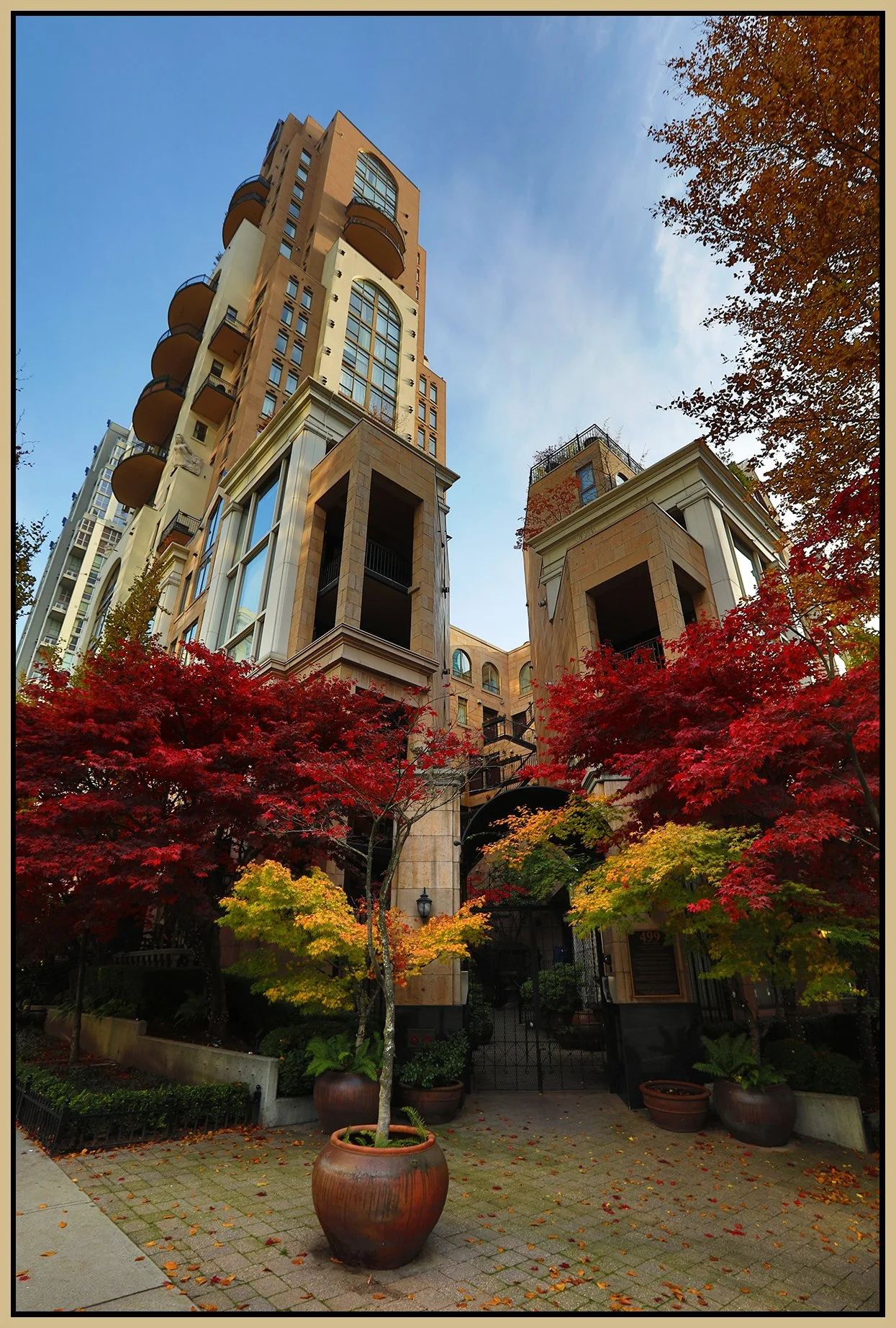 499 Davie St Trees_Nov 4_2019_HDR_F1648_4x6s.jpg