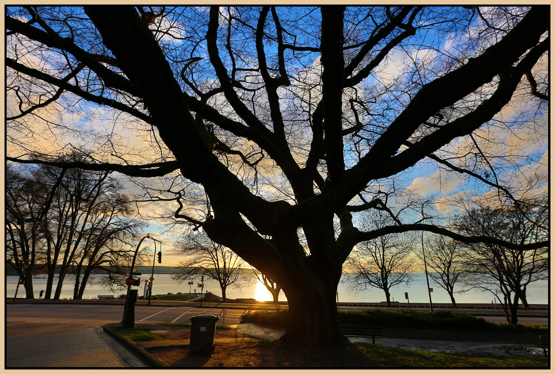 English Bay Sunset Tree_Mar 7_2016_HDR_K0320_4x6s.jpg