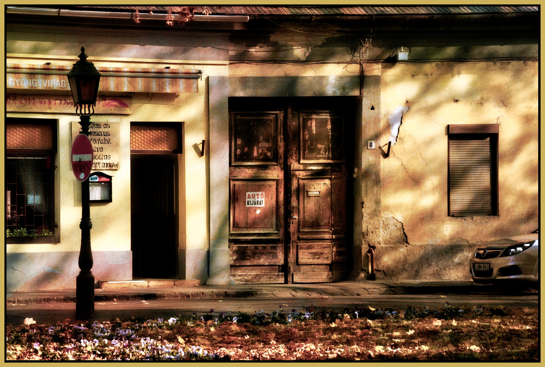 Vác_Nov 5_2011_5766_peVividA_4x6s.jpg