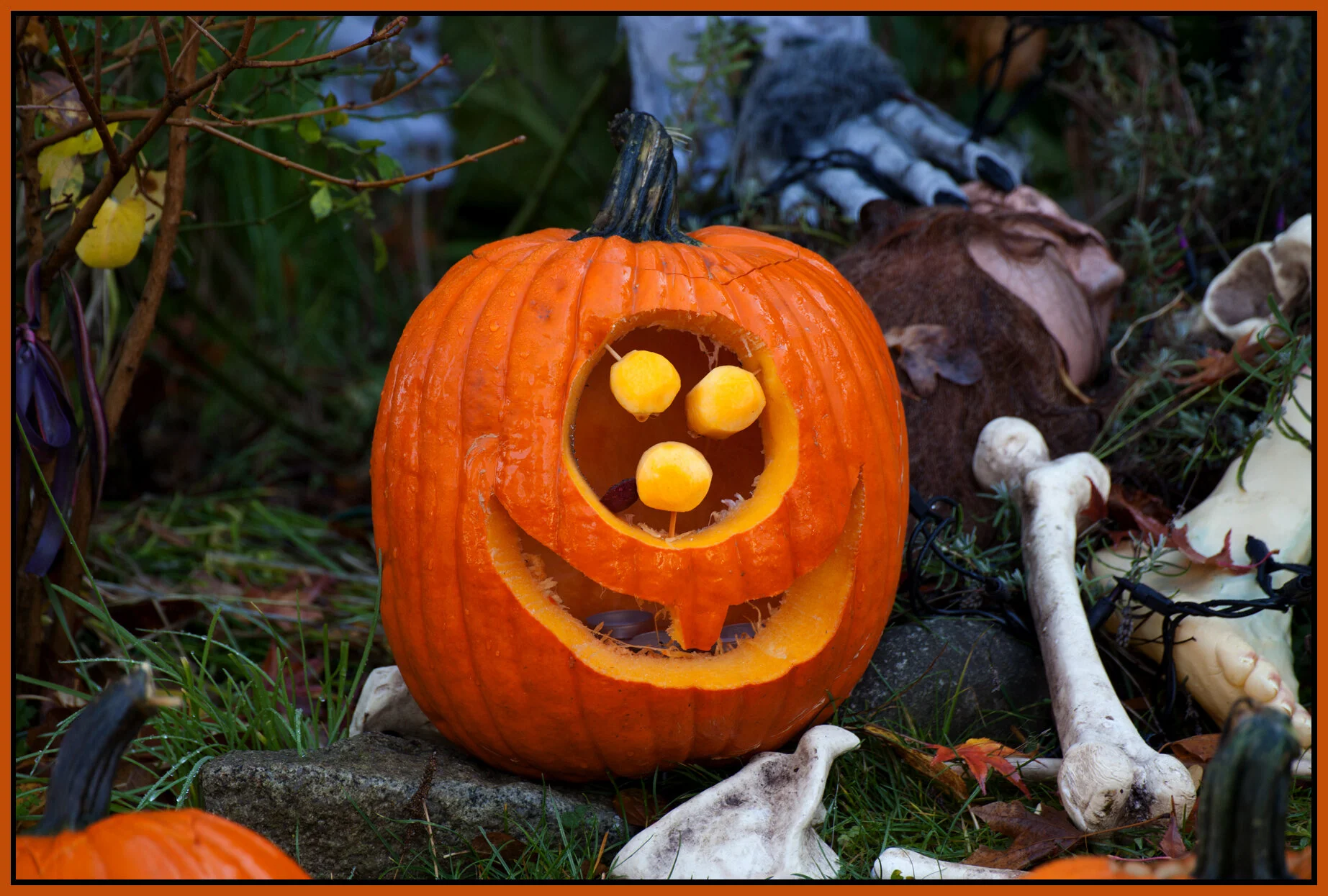 Pumpkins_Nov 2_2013_5587_4x6s.jpg