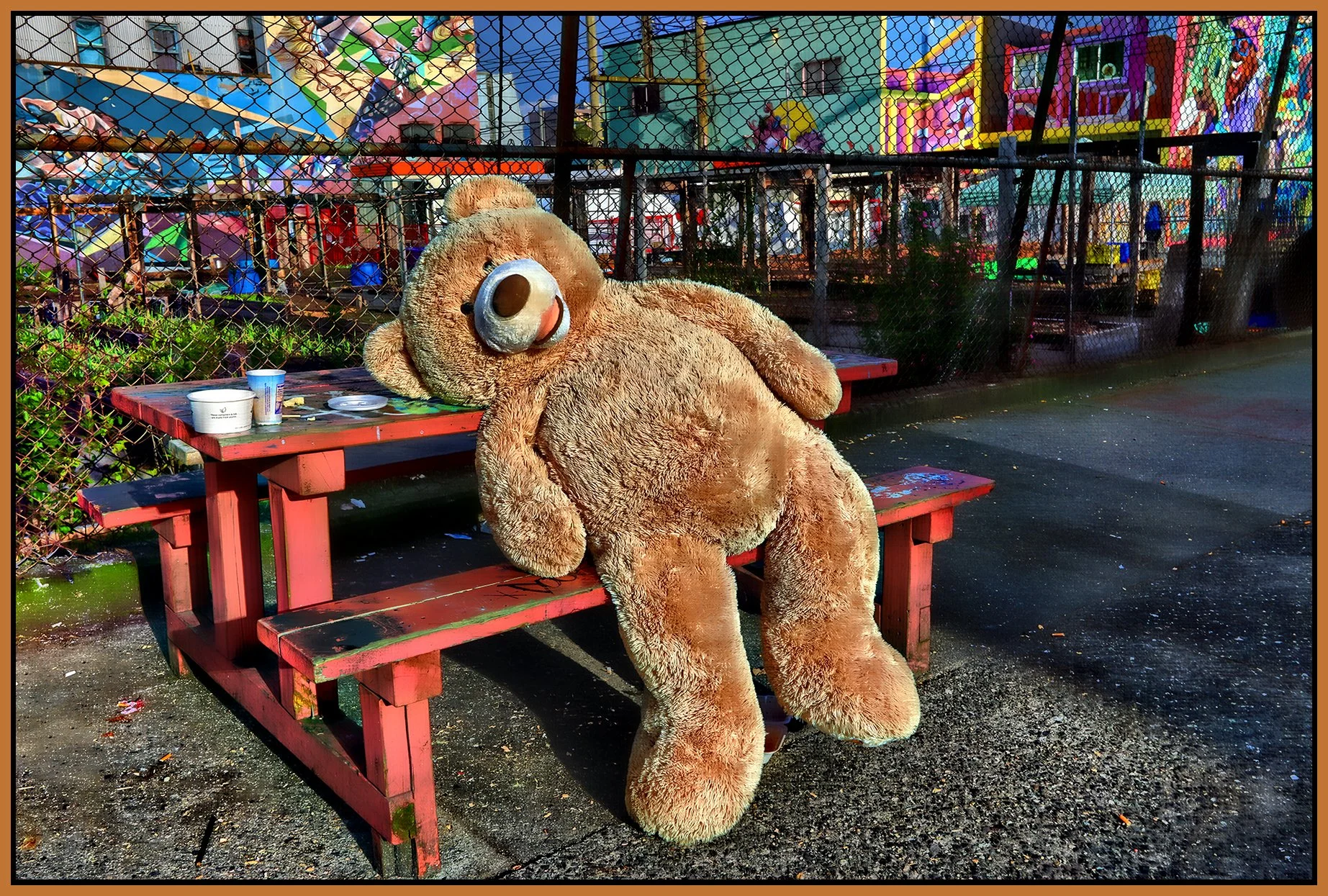 Teddy on Hawks Ave_Apr 6_2024_HDR_4H6514_peHdr2013_1_4x6s.jpg