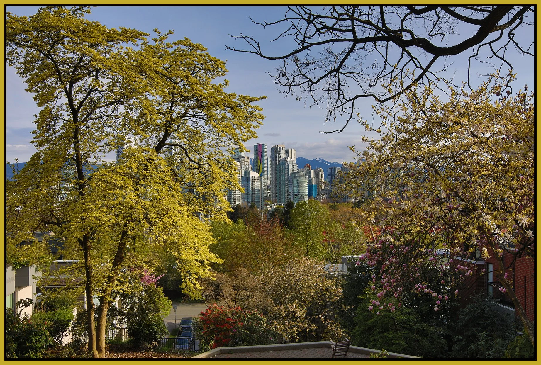 Vancouver from Choklit Park Trees_Apr 24_2022_HDR_4G8521_4x6s.jpg