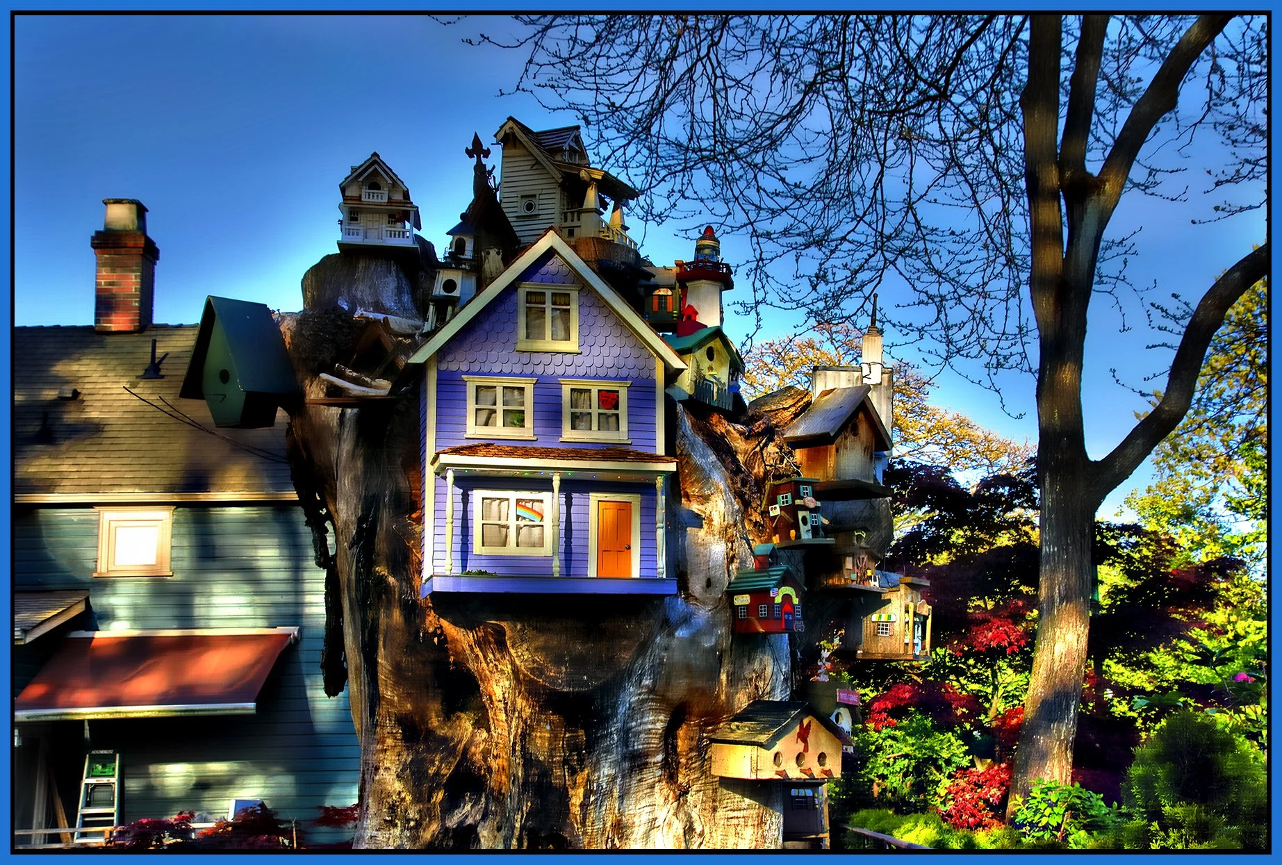 580 Heatley St Tree Houses_May 8_2024_HDR_5E4958_peHdr2013_1_4x6s.jpg