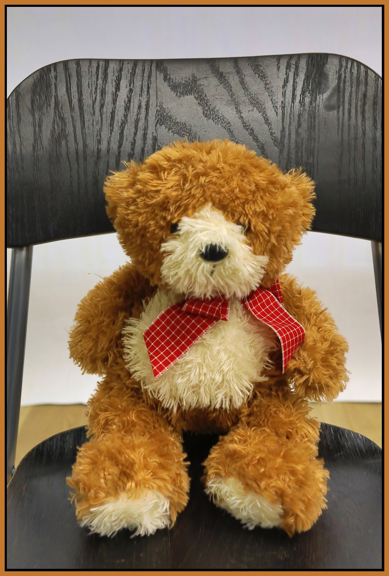 Tessa's Teddy Bear_Sep 15_2026_HDR_4L2904_4x6s.jpg