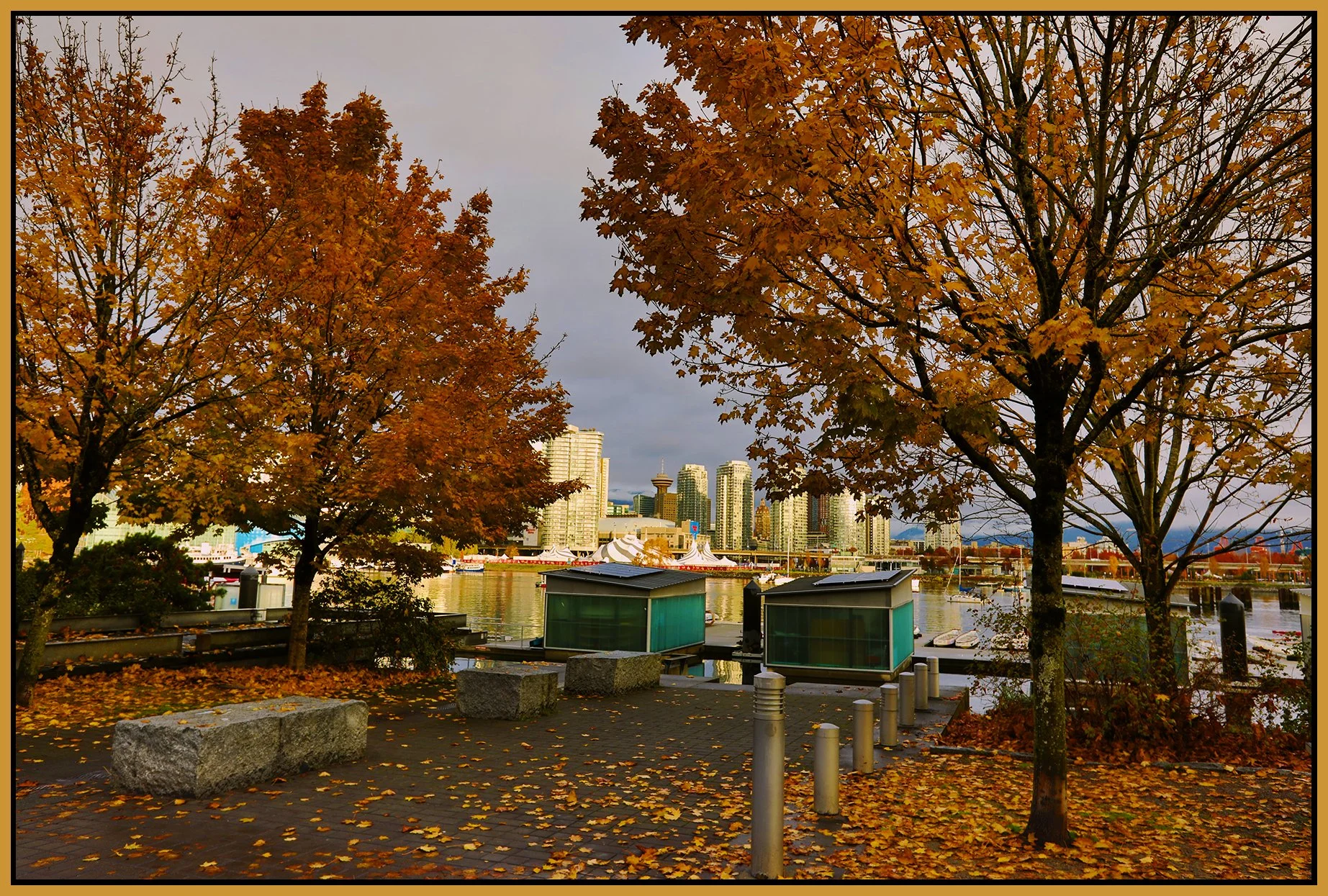 3.9 View_Creekside Park South LkgN_Nov 3_2023_HDR_5C9026_peEWGT_4x6s.jpg