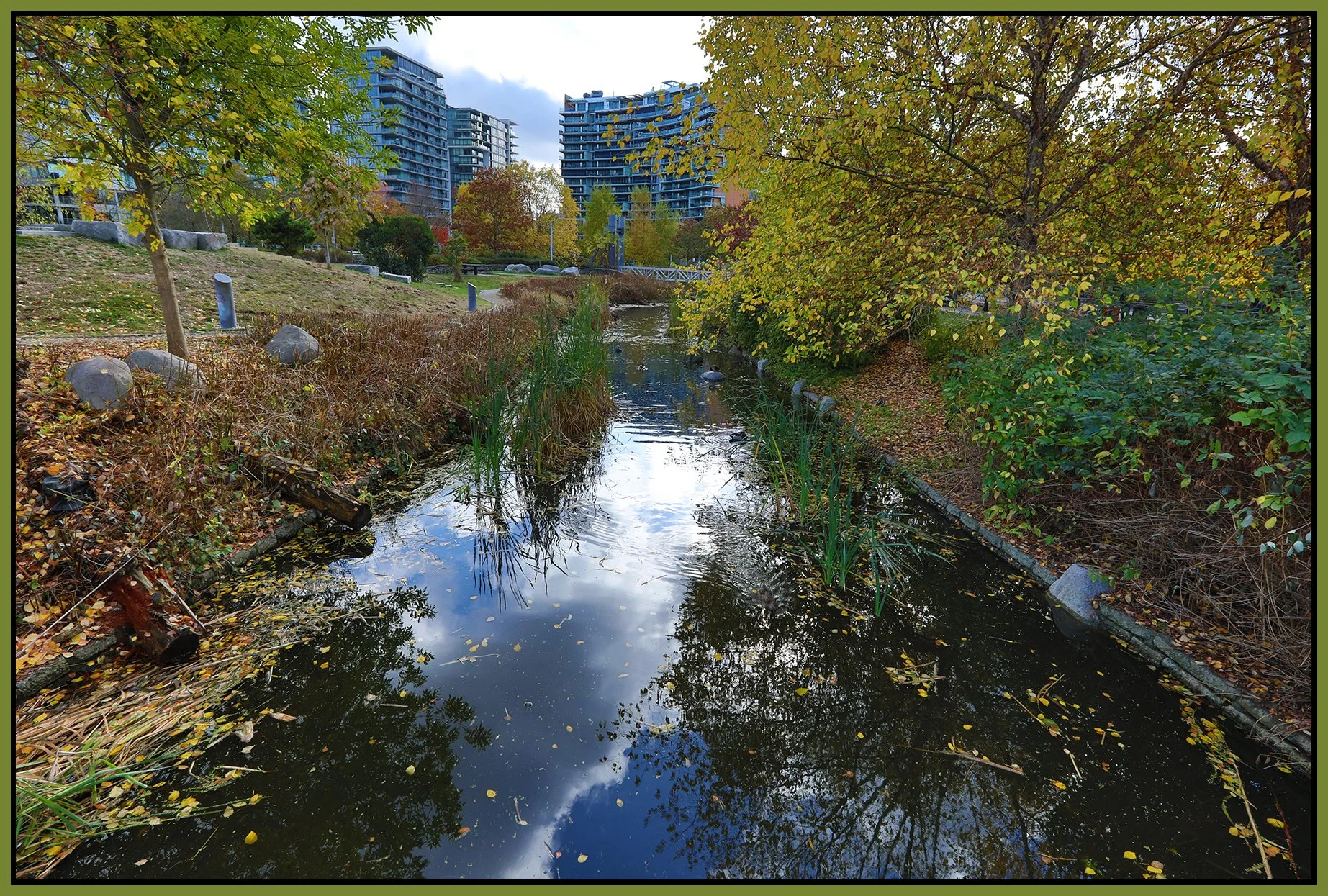 False Ck Creek_Oct 29_2022_HDR_5C4536_4x6s.jpg