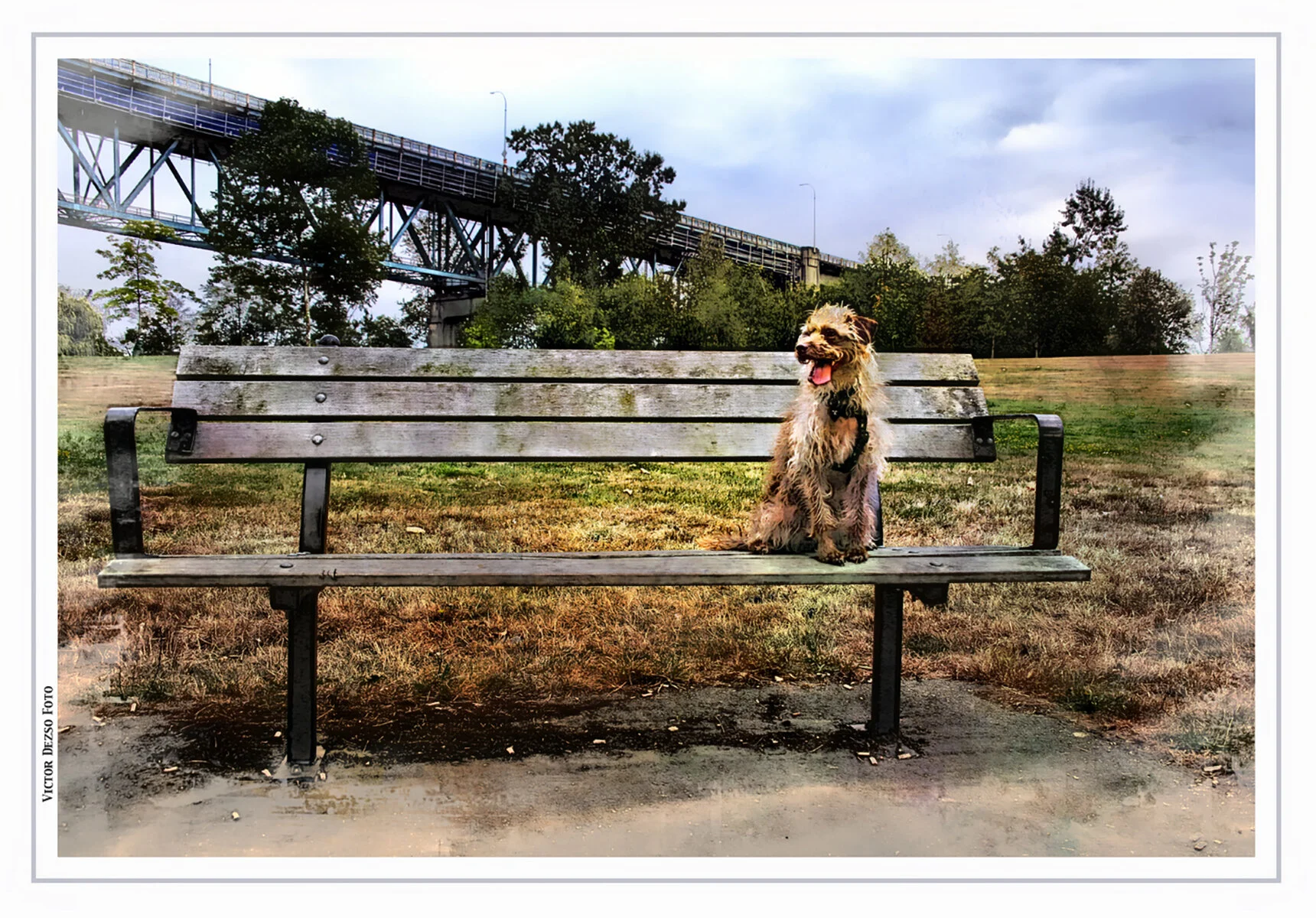 Frances in Brownsville Pk_Aug 7_2016_HDR_L0002_peGlow&Art028_4x6s.jpg