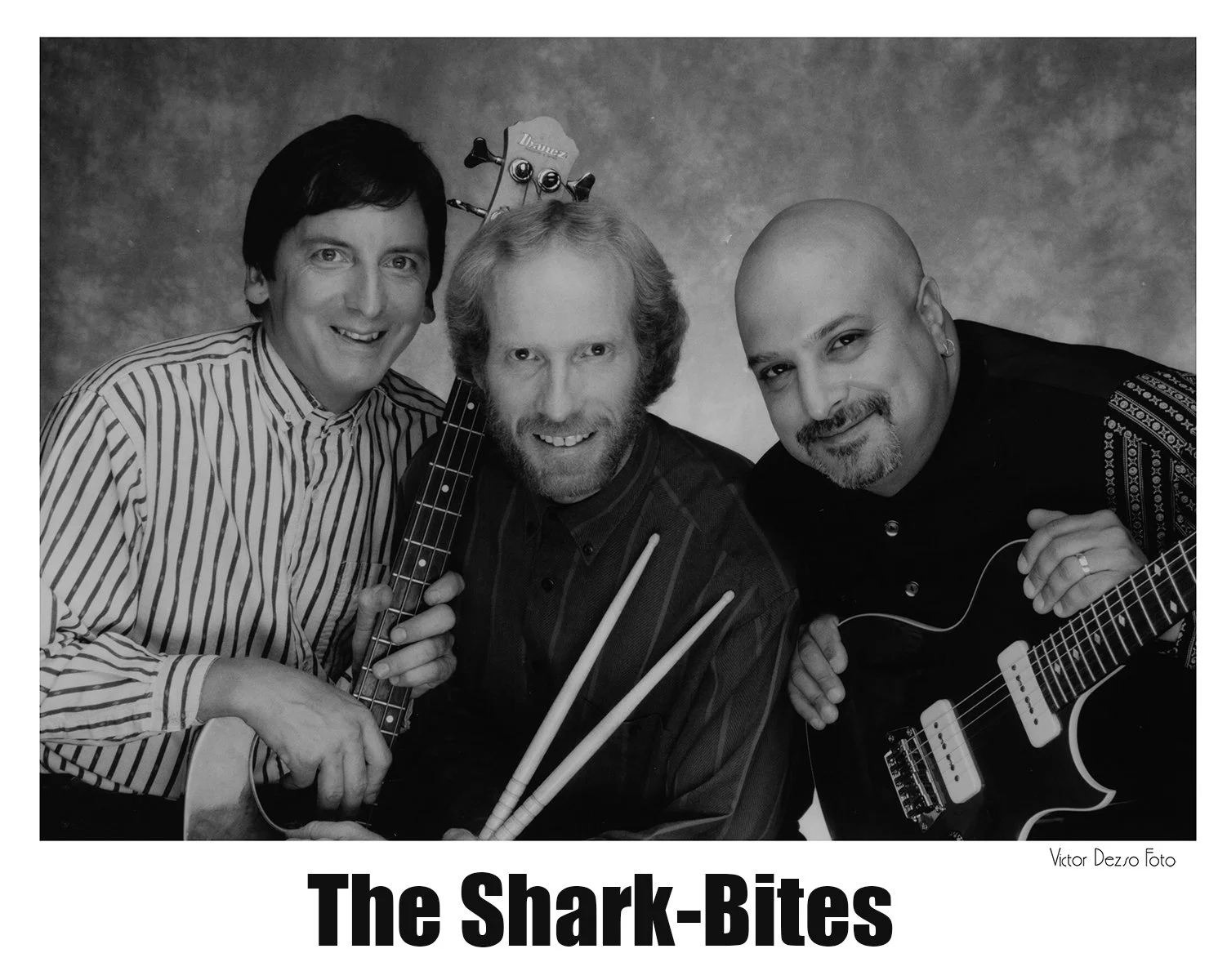 The Shark-Bites_3159_4x5.jpg