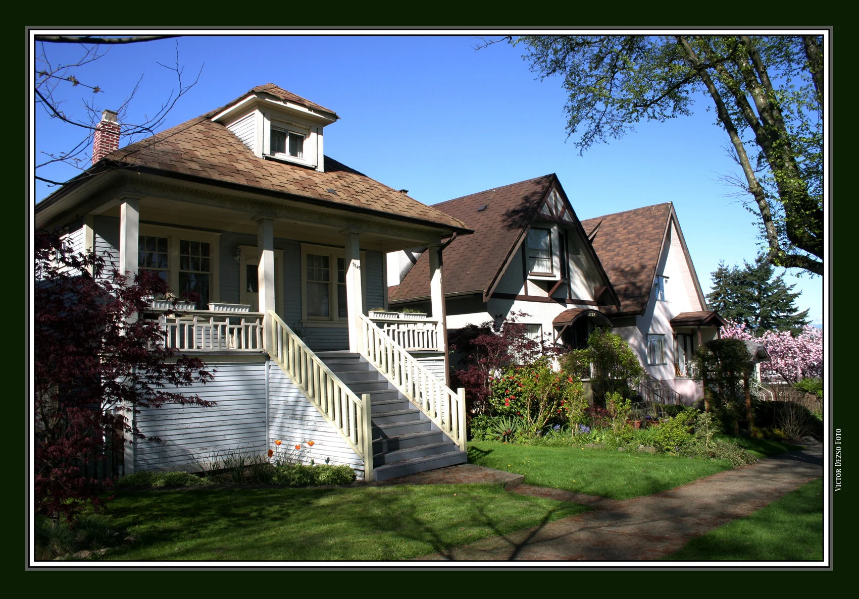 2145 Napier_8332_4x6s.jpg