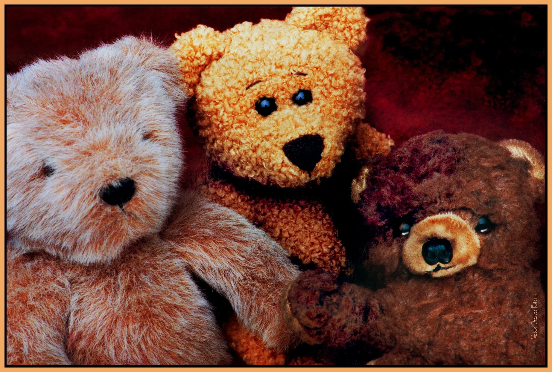 Teddy Bears_Jan 22_2002_1664_peAuto Brtn_NatB_4x6s.jpg