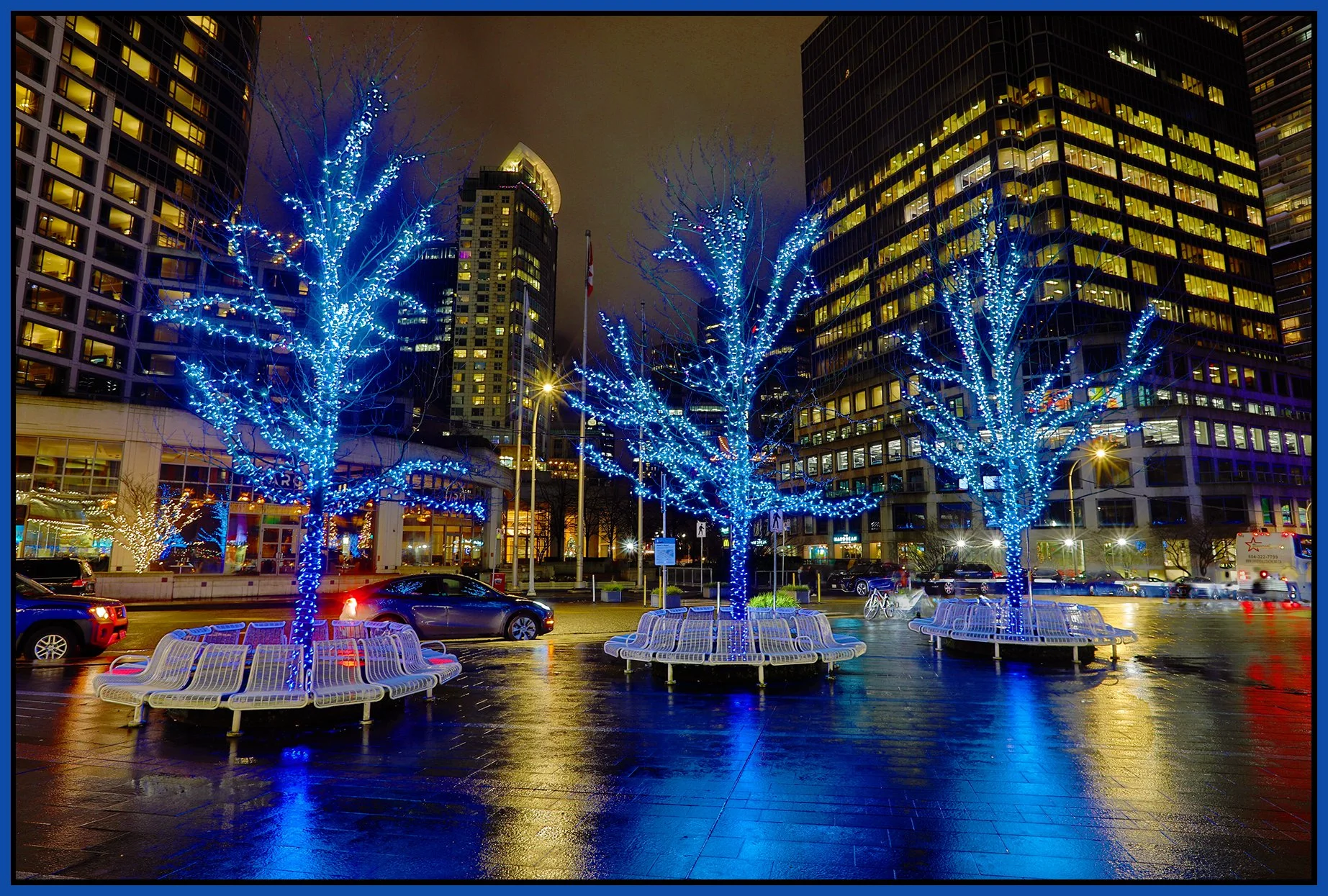 Canada Place Trees_Dec 29_2024_HDR_4J5037_pePncltest-r_4x6s.jpg