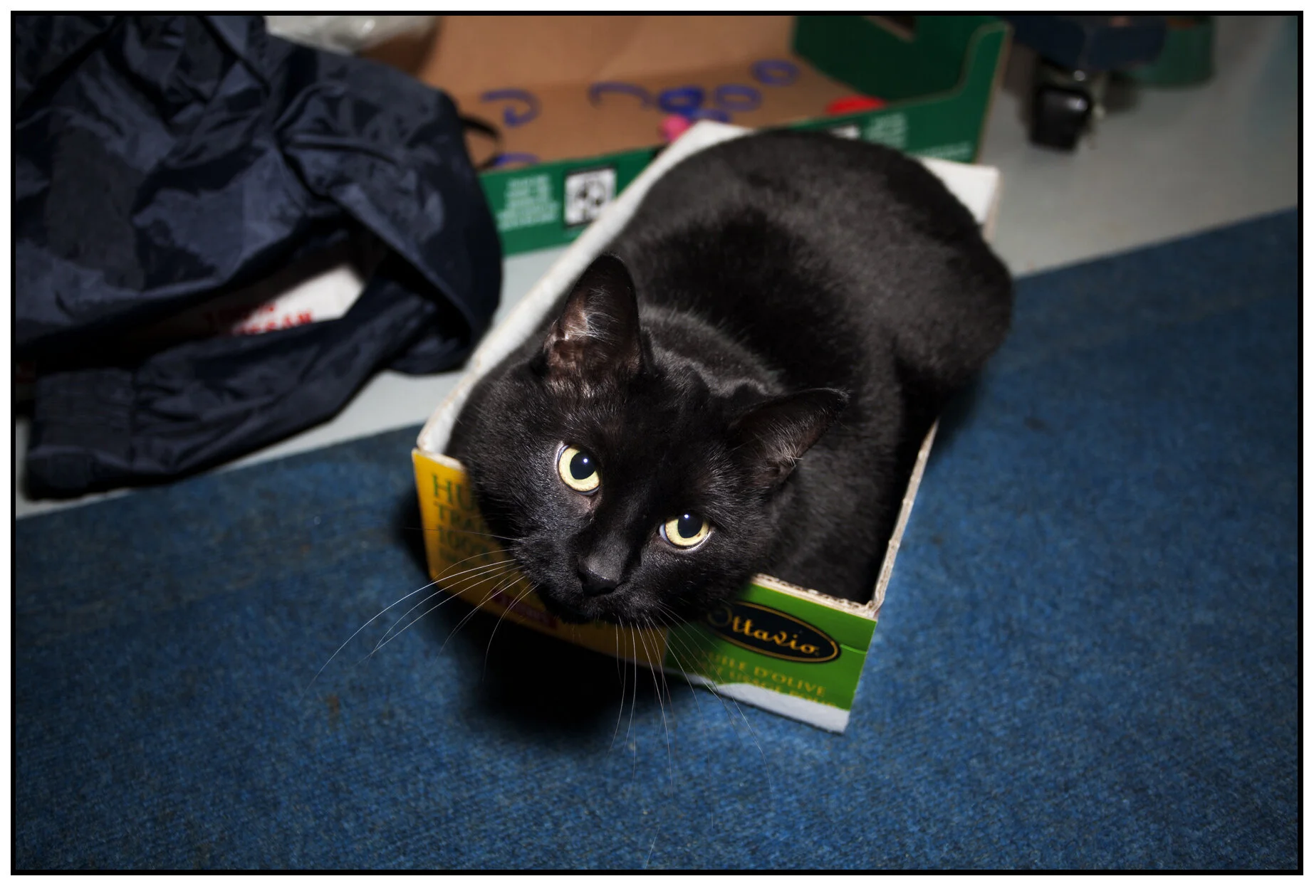 CC_Oct 7 _2010_5922v_4x6s.jpg