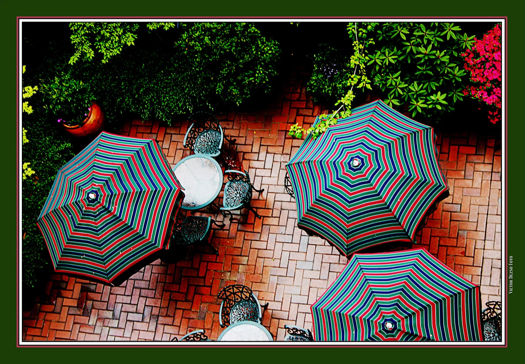 Wedgewood Patio May 1_2004_1811_1_4x6s.jpg