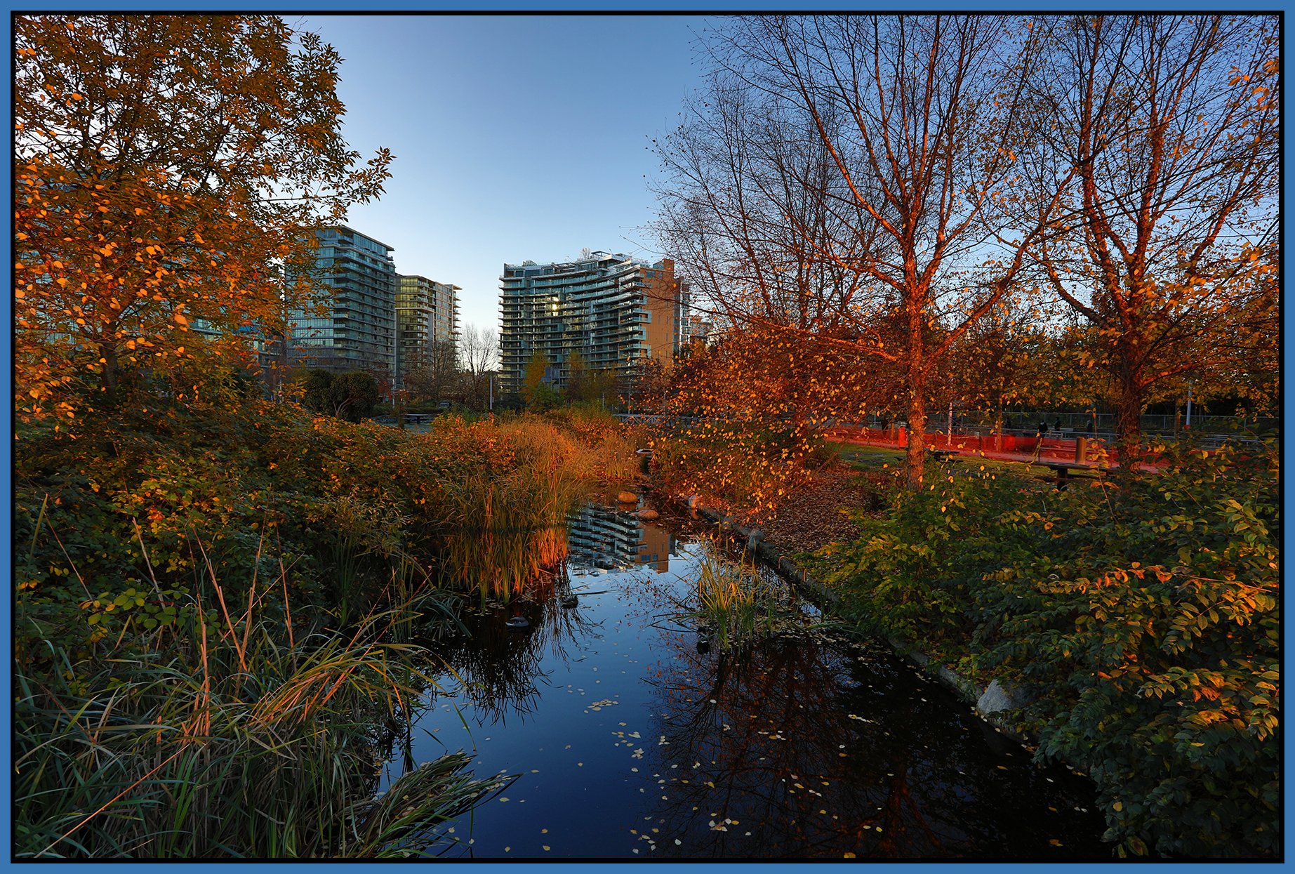 False Creek LkgN_Oct 31_2021_HDR_5A9013_4x6s.jpg