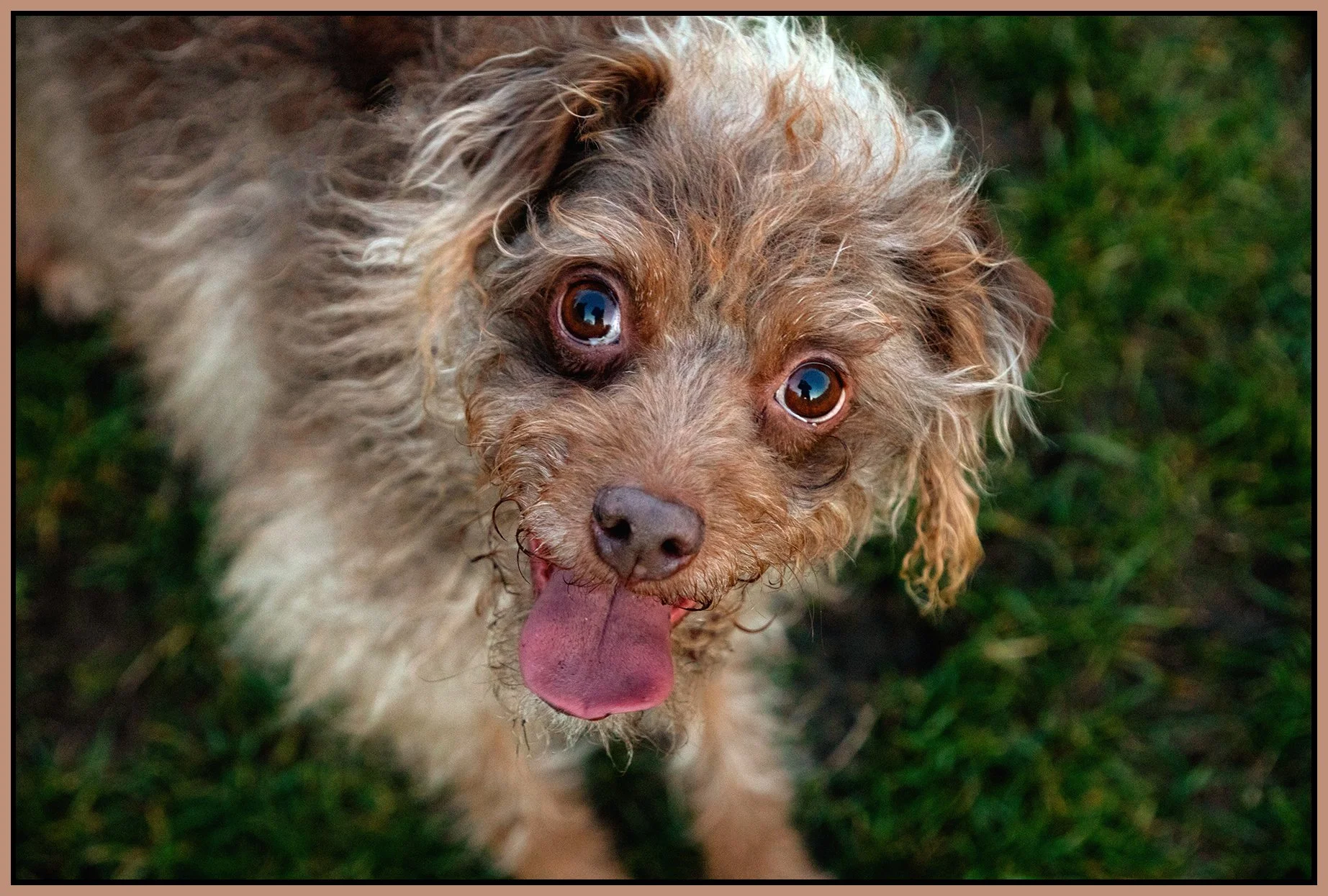 Frances_Mar 3_2022_CR2_4G7444_peHyprstrip_HyprealSepDrkn_4x6s.jpg