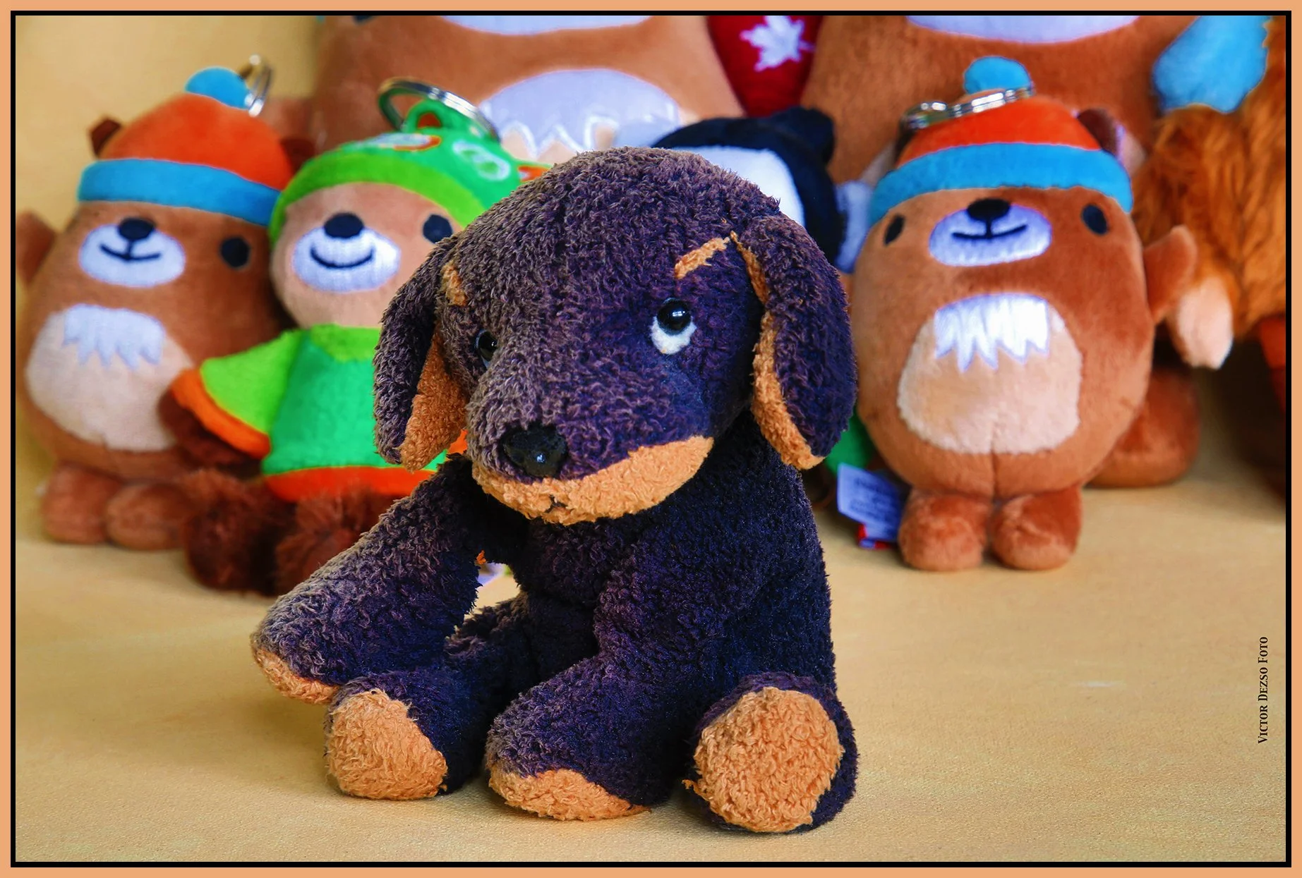 Puppy Tyke_Dec 13_2024_HDR_3B9613_peHyprstrip_B&s_4x6s.jpg