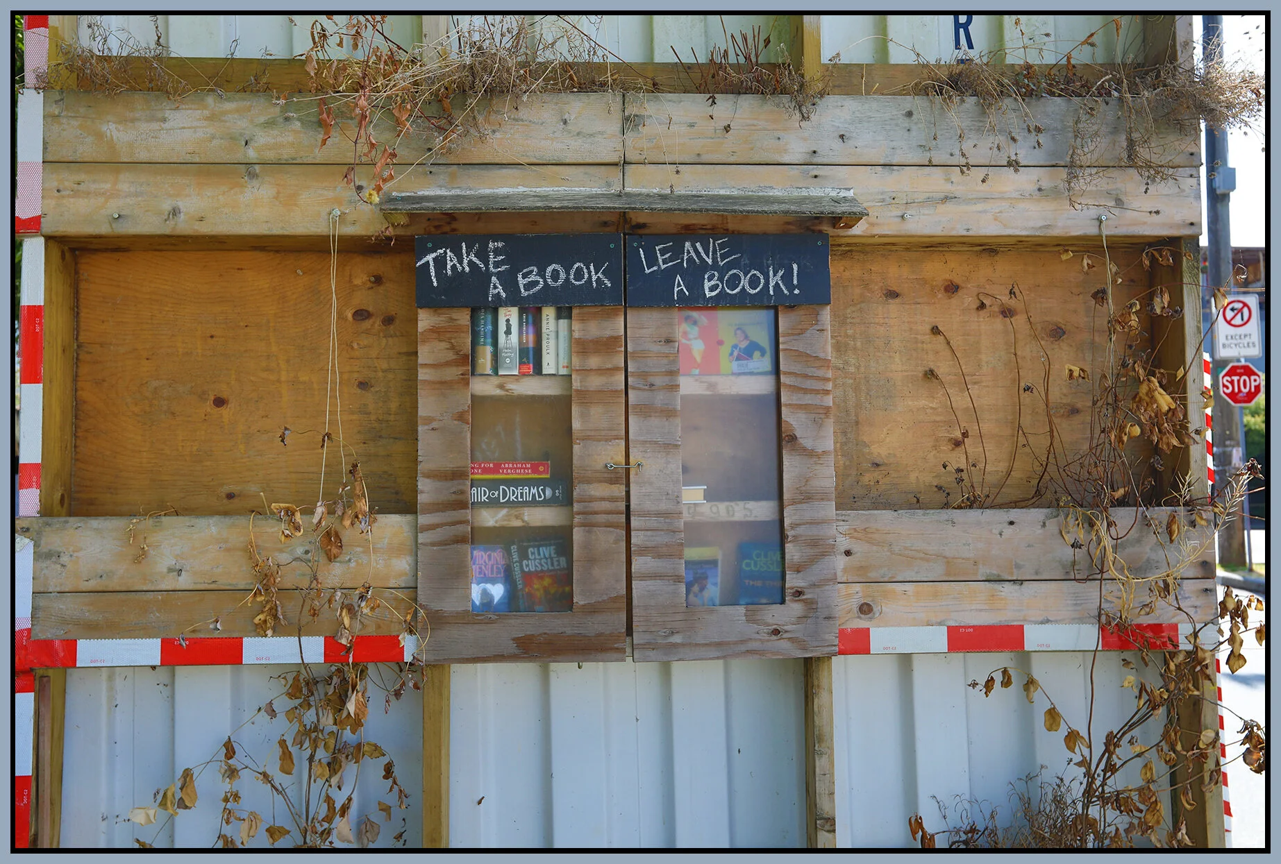 Book Exchange on Woodland_Aug 22_2021_HDR_5A9452_4x6s.jpg