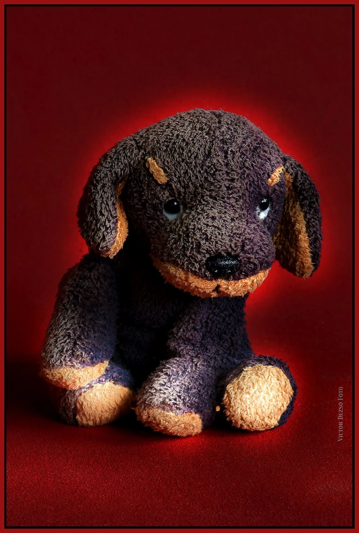 Purple Puppy_Aug 15_2025_HDR_4K1076_peSoftblur_4x6s.jpg