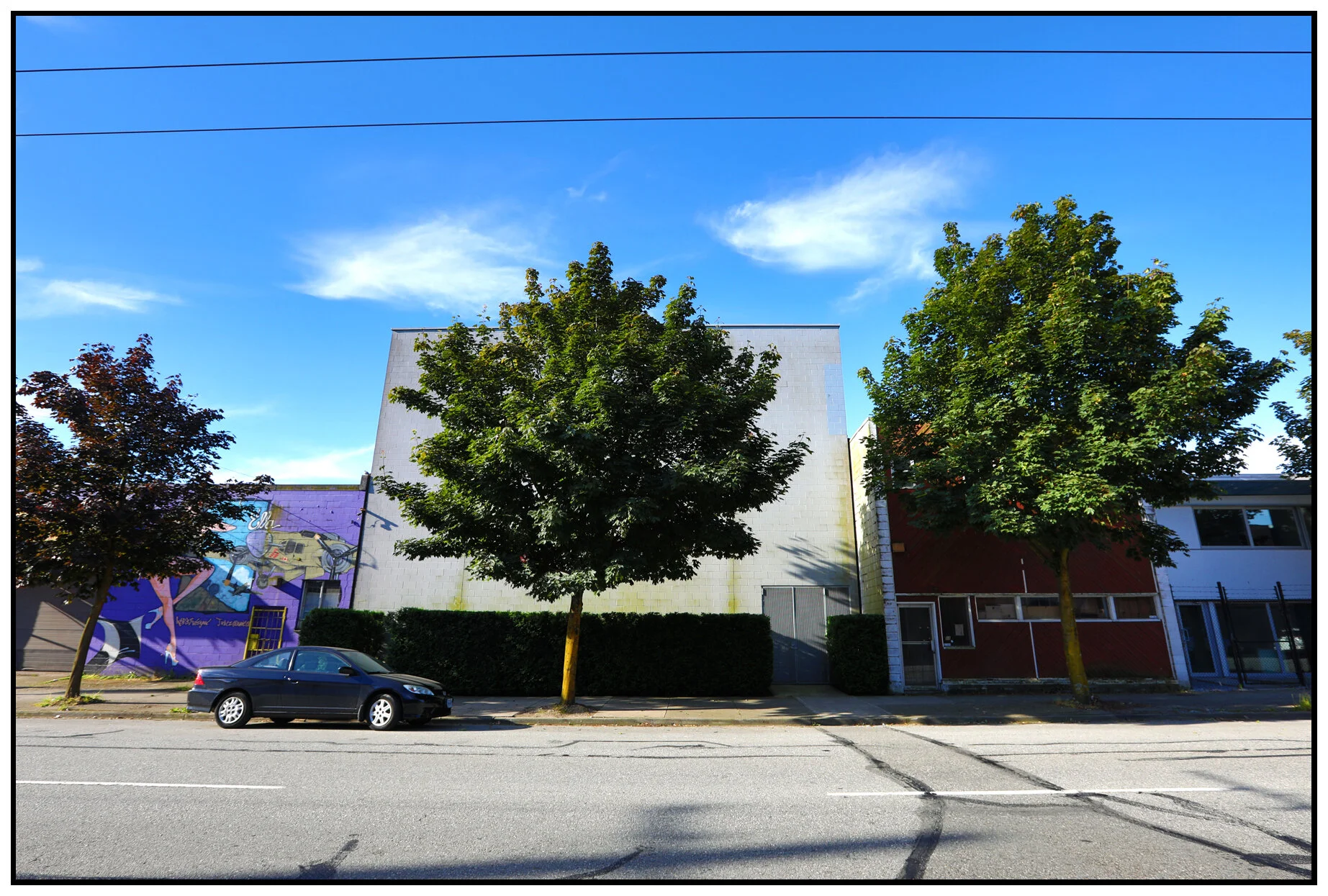 790 Powell Tree_Jun 25_2017_HDR_A4051_4x6s.jpg