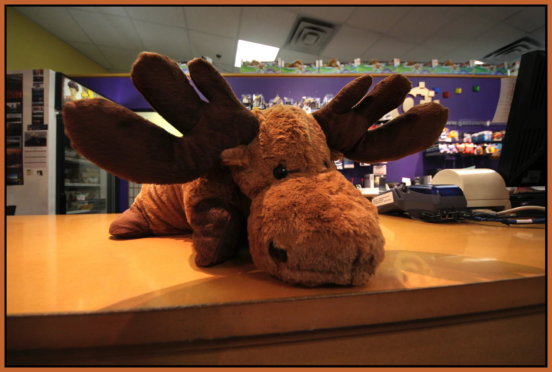 Gastown Moose Pillow_Aug 14_2011_7360_4x6s.jpg