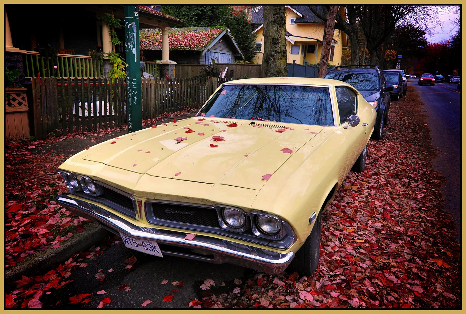 Pontiac Beaumont 1969_Nov 12_2025_HDR_4K5227_peHyperstrip_VDM_4x6s.jpg