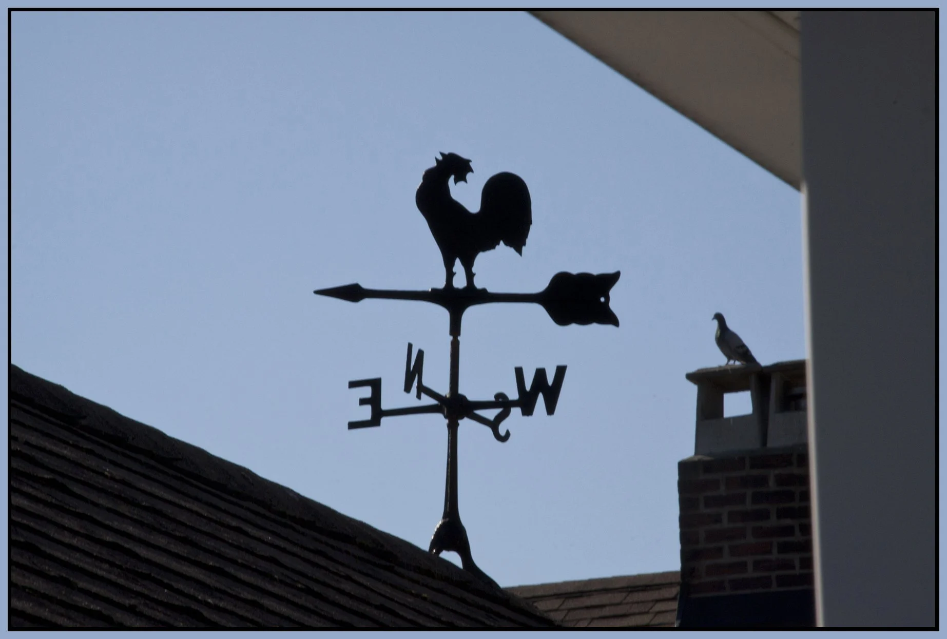 Weather Vane_Aug 28_2011_6775_4x6s.jpg