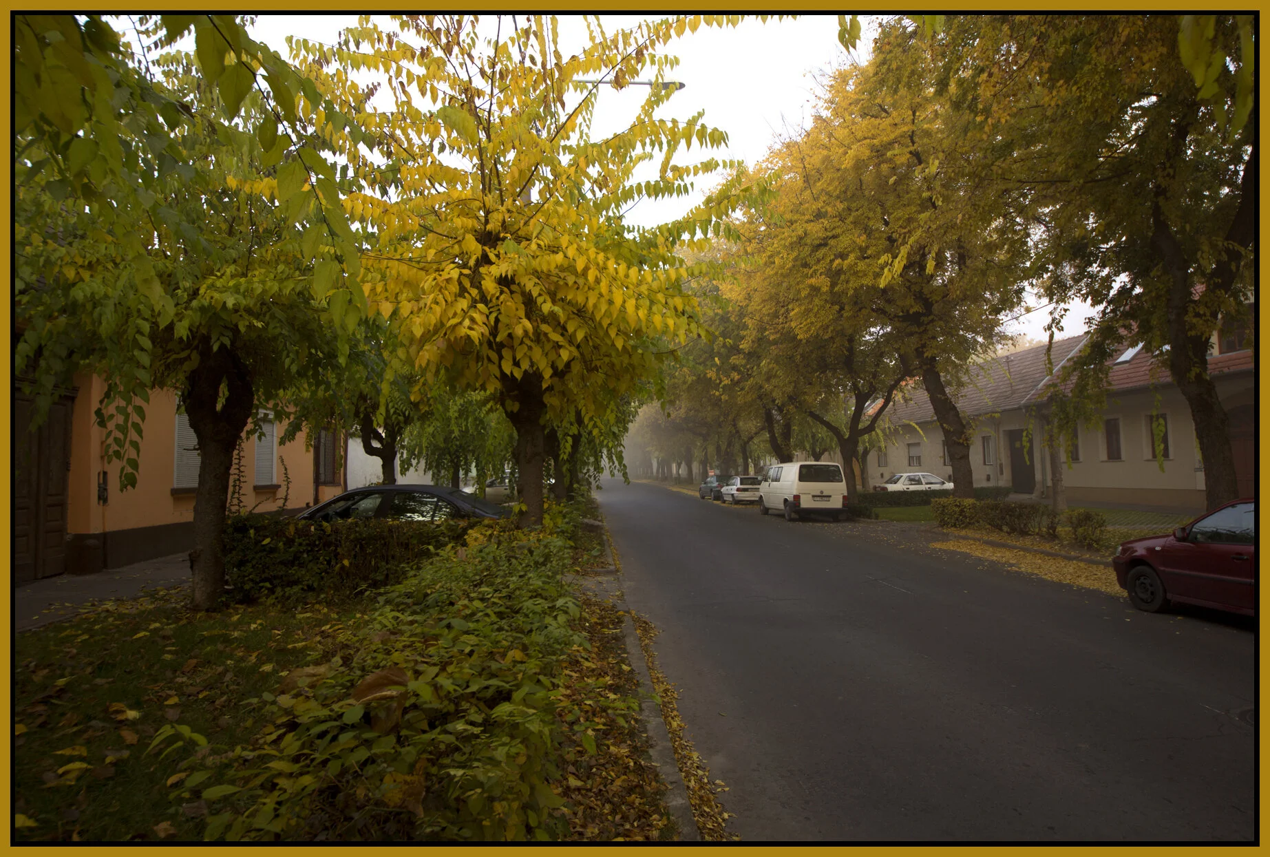 Vác_Nov 3_2011_9822vel_4x6s.jpg