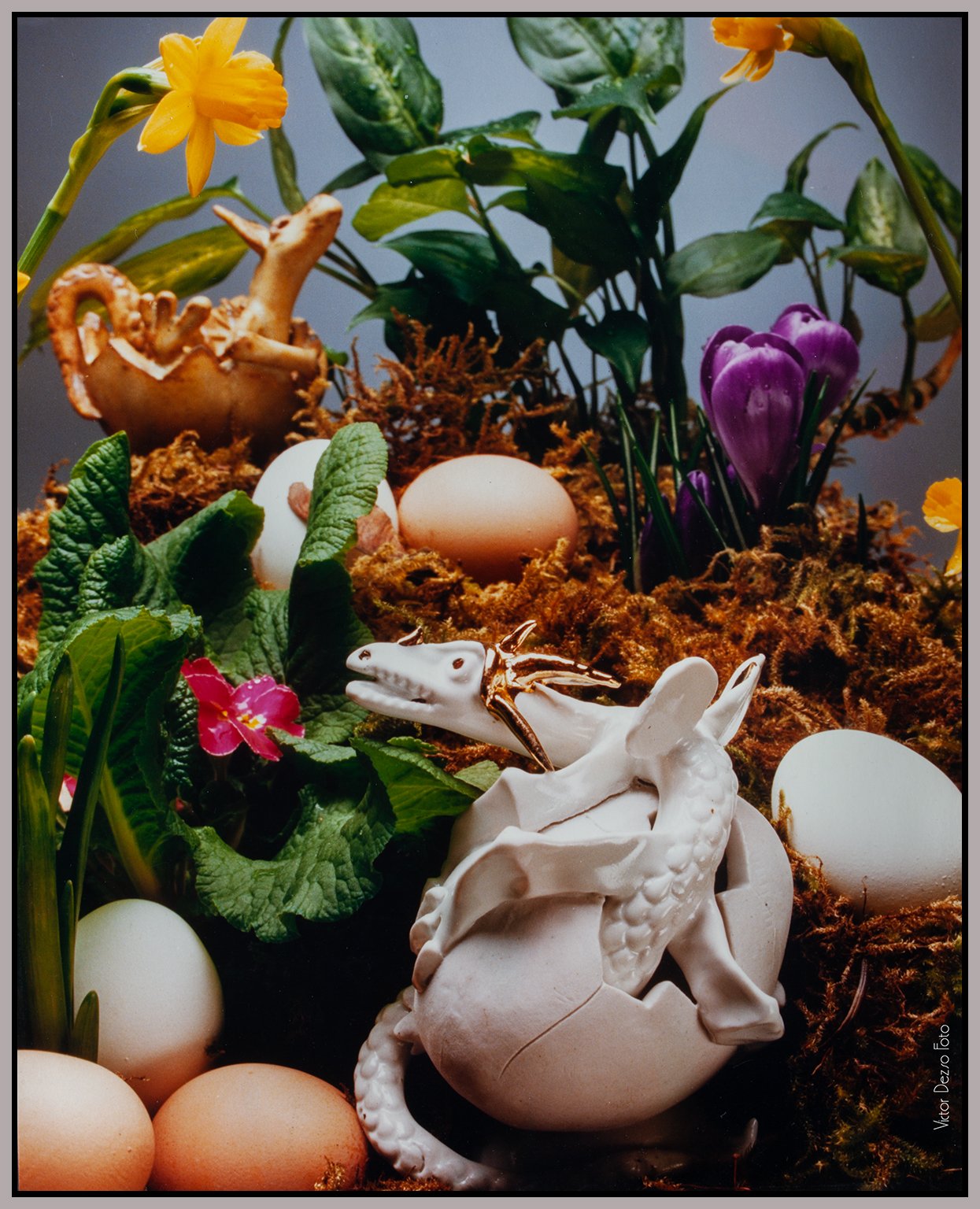 Paula's Dragon 1980's_2328_4x5s.jpg