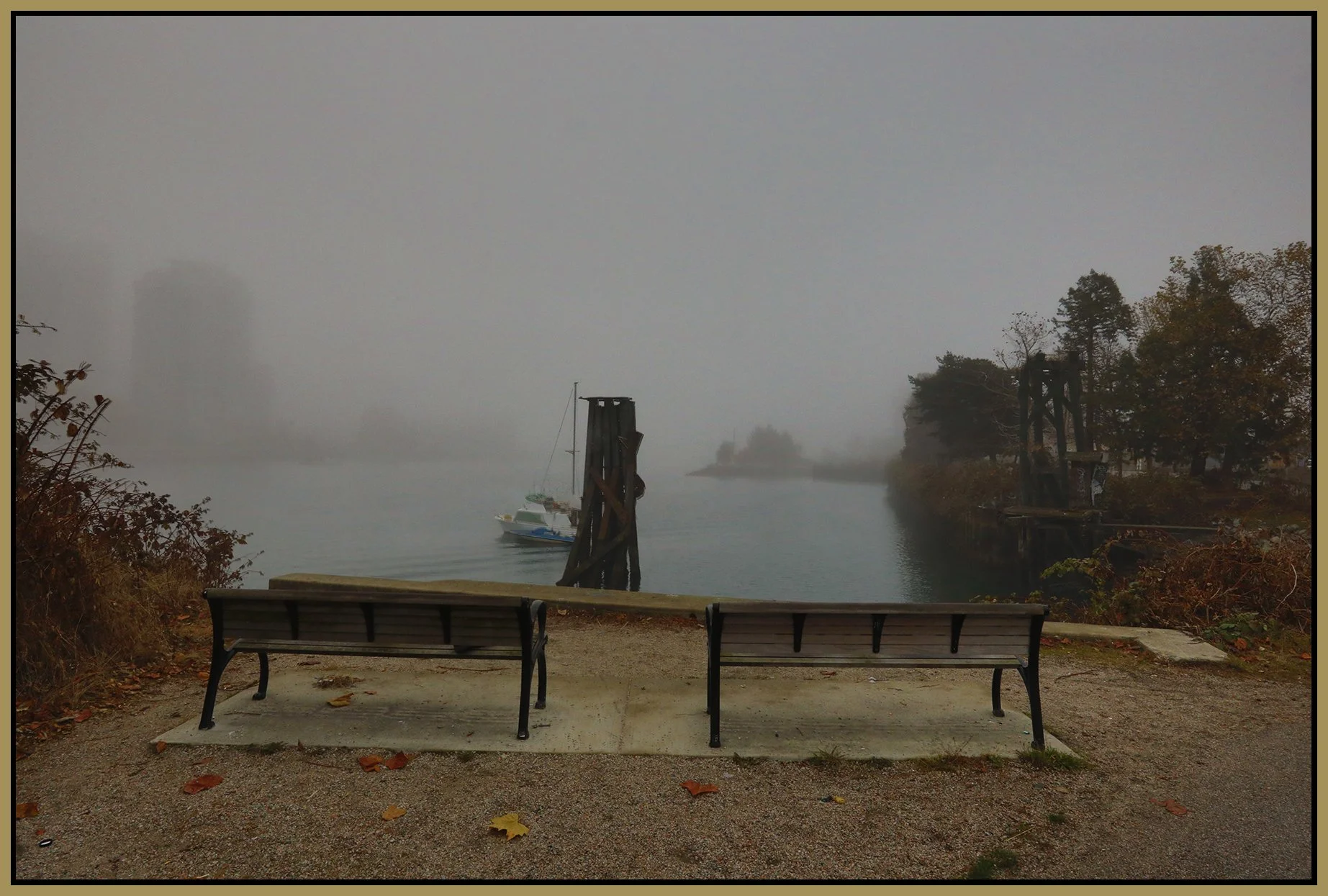 3.2 View LkgE in Fog Benches_Nov 16_2022_HDR_5C6346_4x6s.jpg