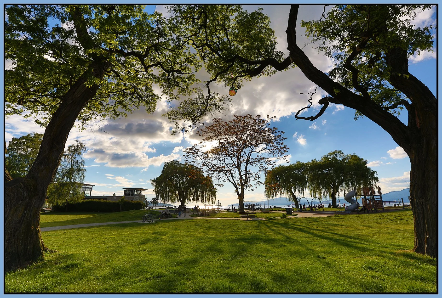 Kits Beach Trees_May 25_2013_HDR_A2224_4x6s.jpg