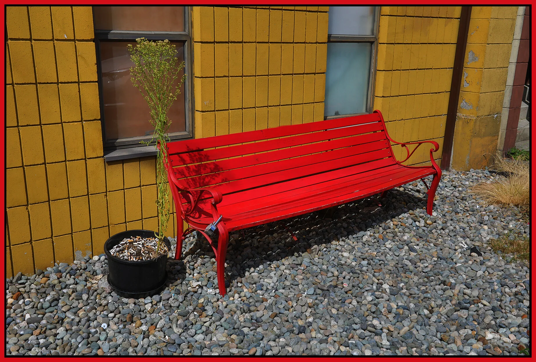 Bench at 1859 Franklin_Jul 22_2020_HDR_4F5057_4x6s.jpg