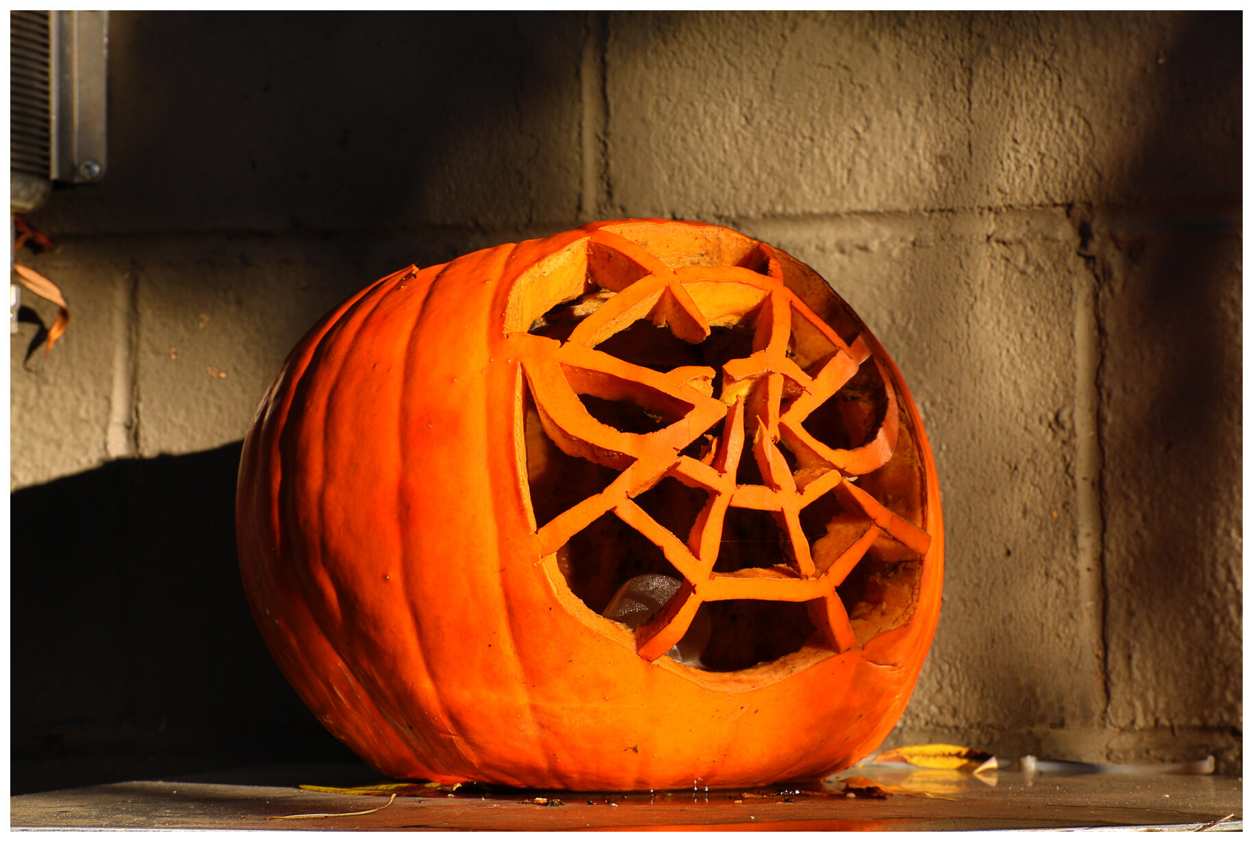 Pumpkins_Halloween_Nov 1_2014_HDR_F1471_4x6s.jpg