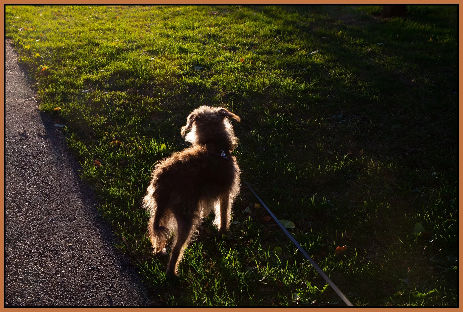 Frances_Oct 11_2026_4L4646_4x6s.jpg