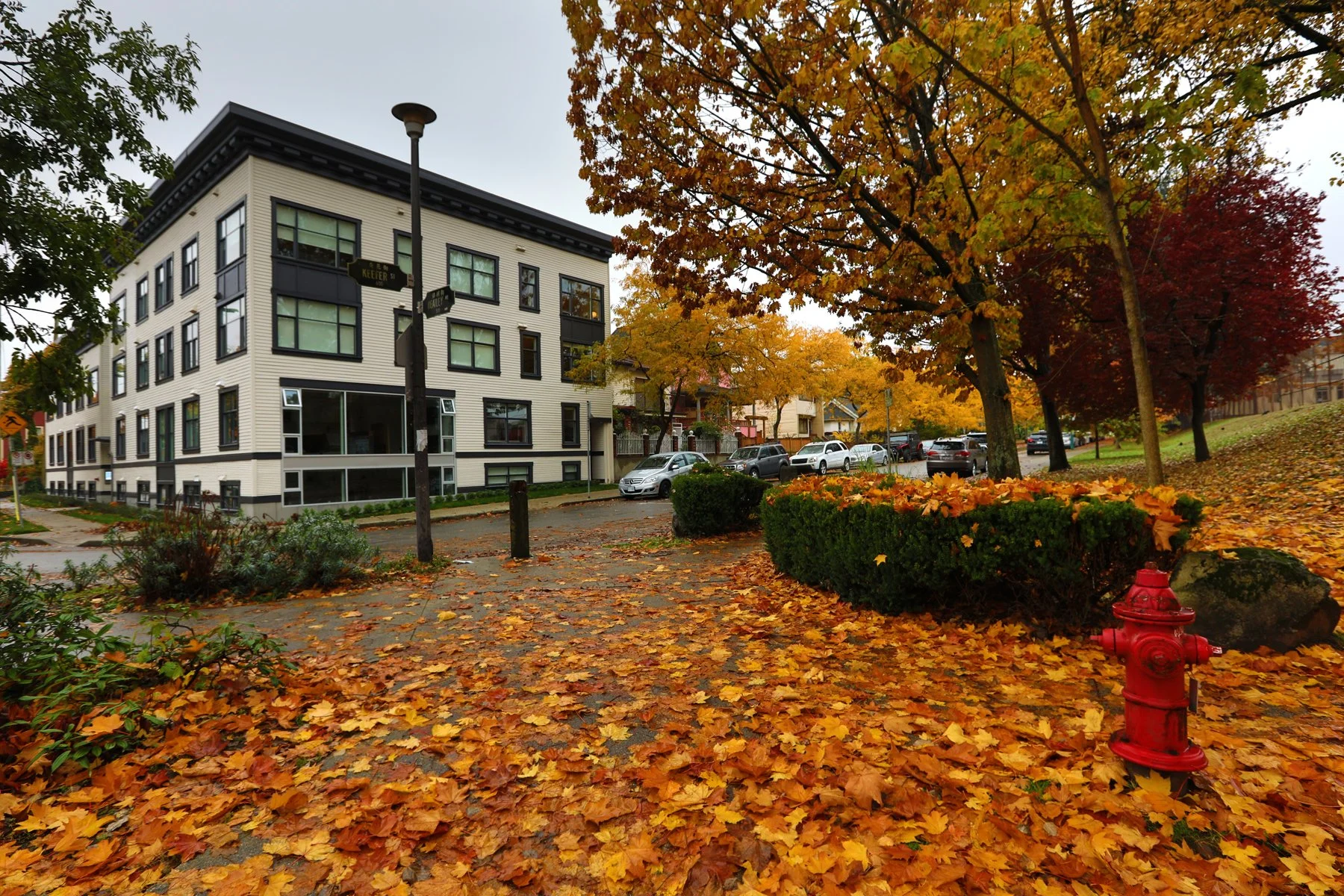 609 Heatley_Oct 25_2017_HDR_B4459_4x6.jpg