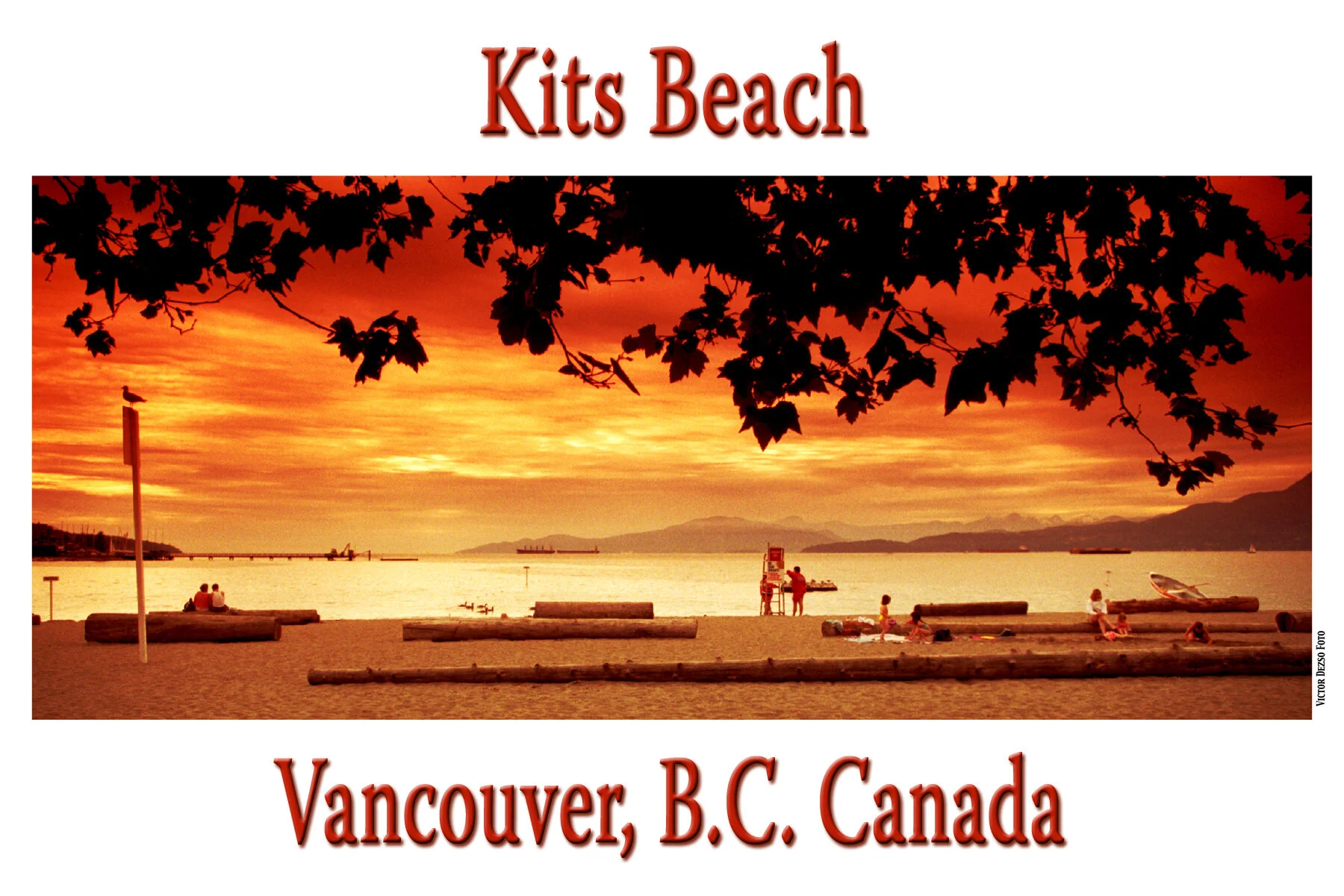 Kits Beach_Jun 29_1996_2.4x6s.jpg
