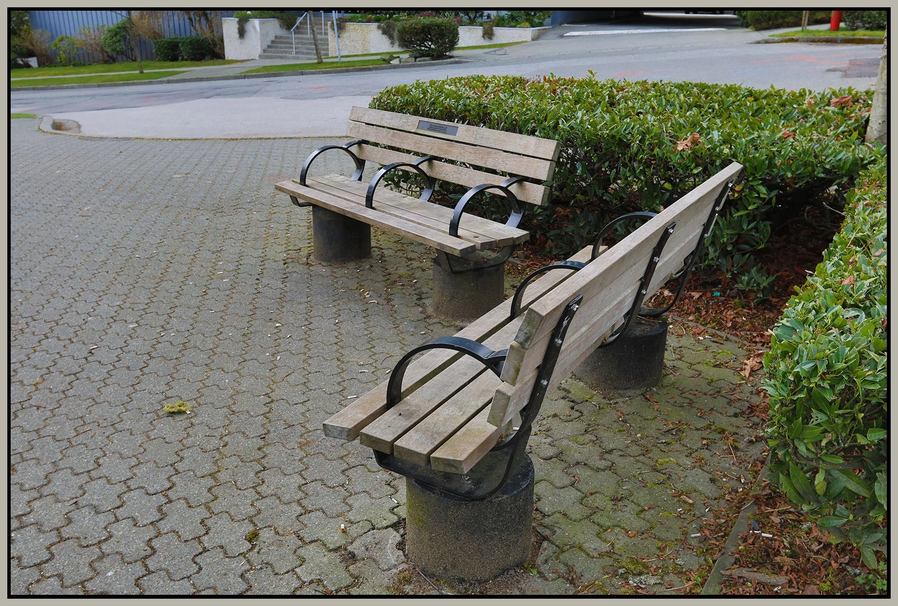 Bench in West End_Mar 24_2019_HDR_E8142_4x6s.jpg
