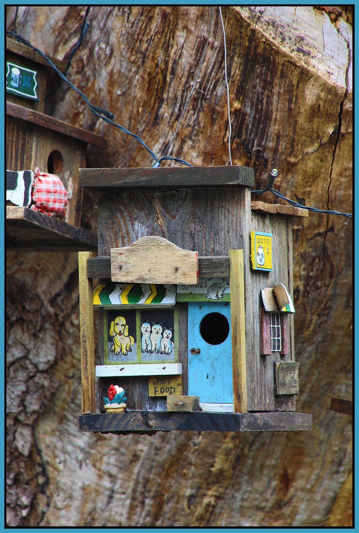 580 Heatley Tree House_Apr 26_2026_HDR_4H7326_4x6s.jpg