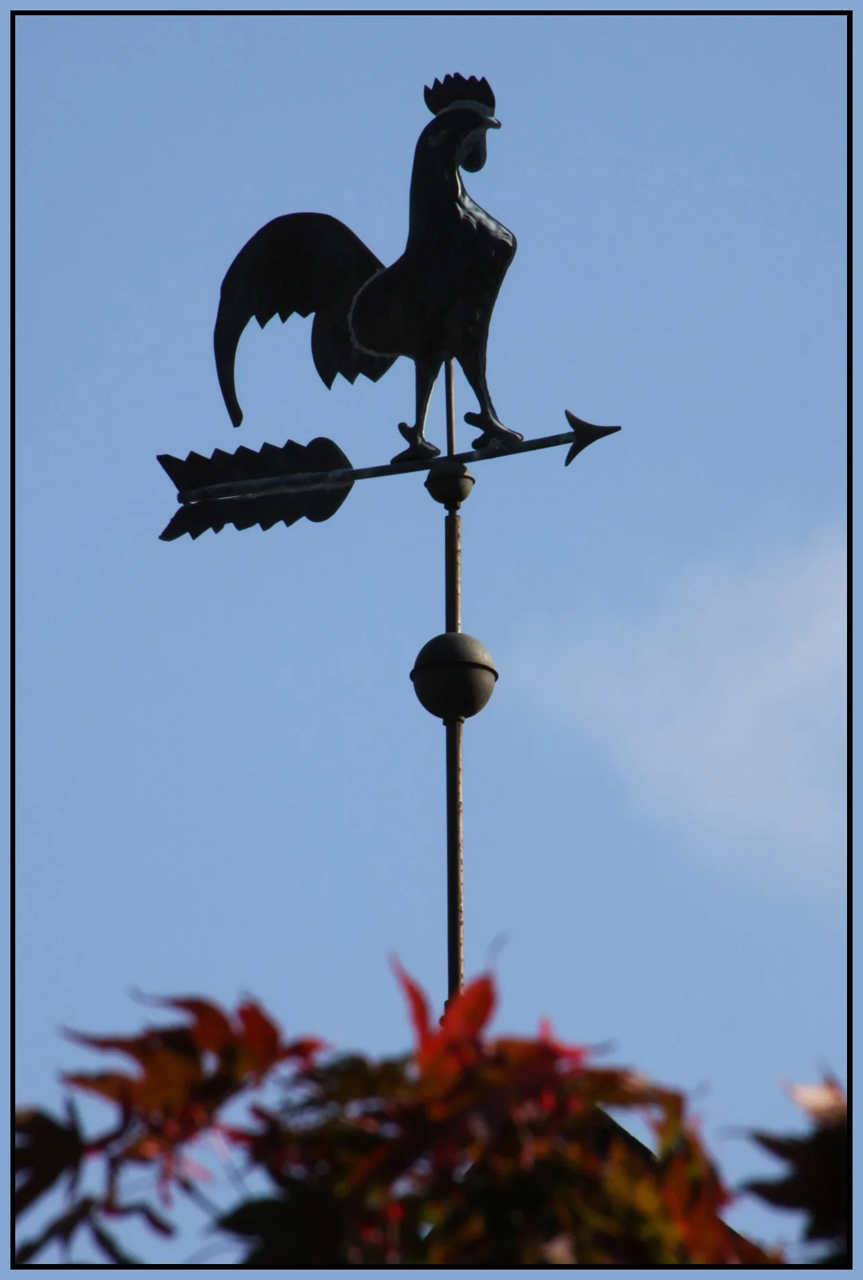 Weather Vane_Oct 17_2011_9721_4x6s.jpg