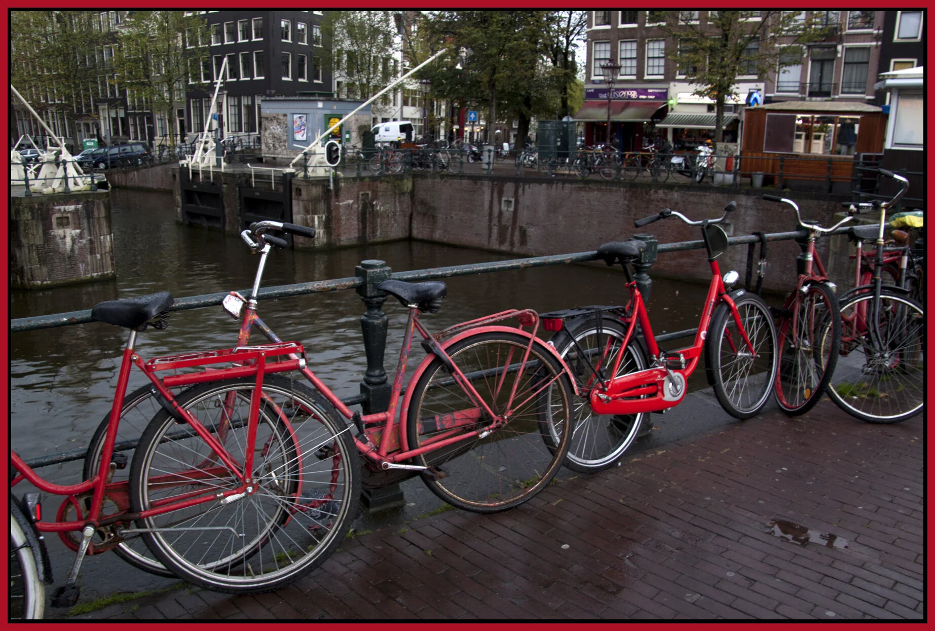 Amsterdam_Oct 18_9926_4x6s.jpg
