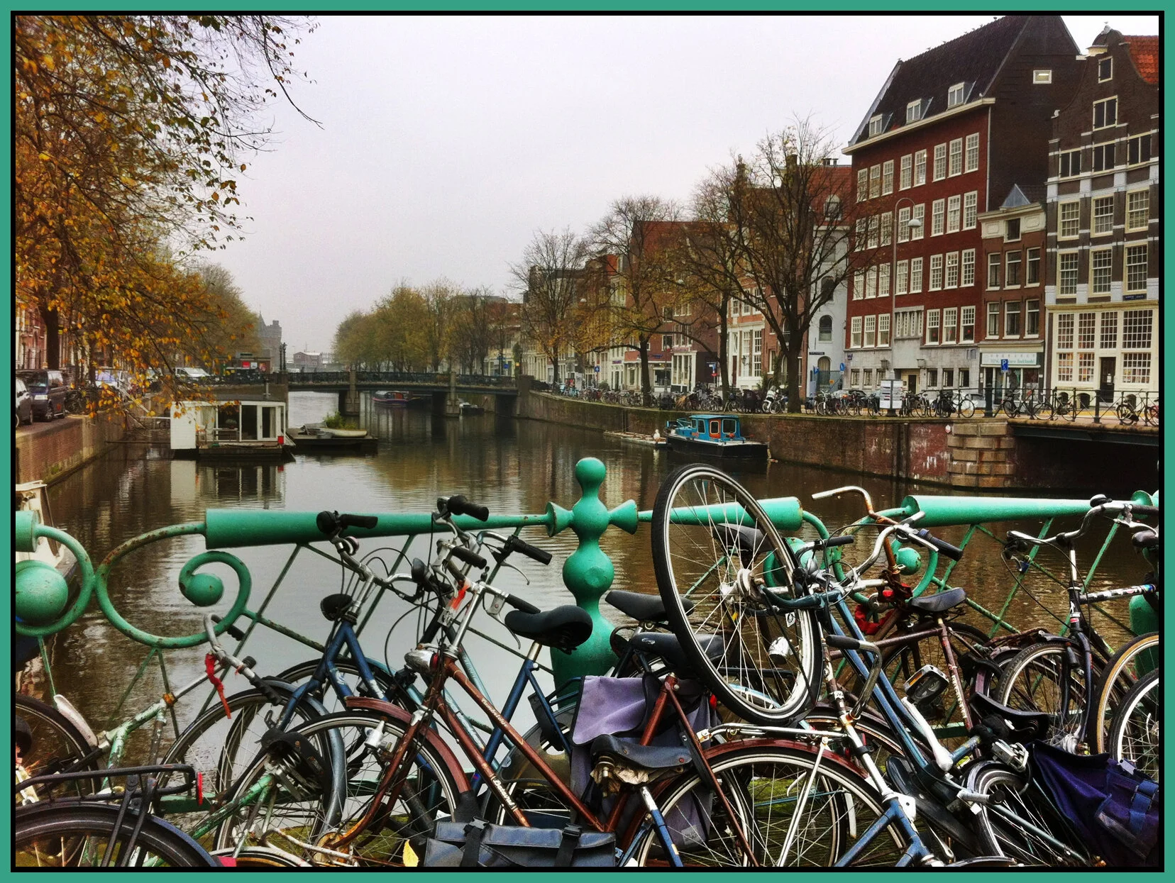 Amsterdam_Nov 8_2011_1496_4x5.3s.jpg