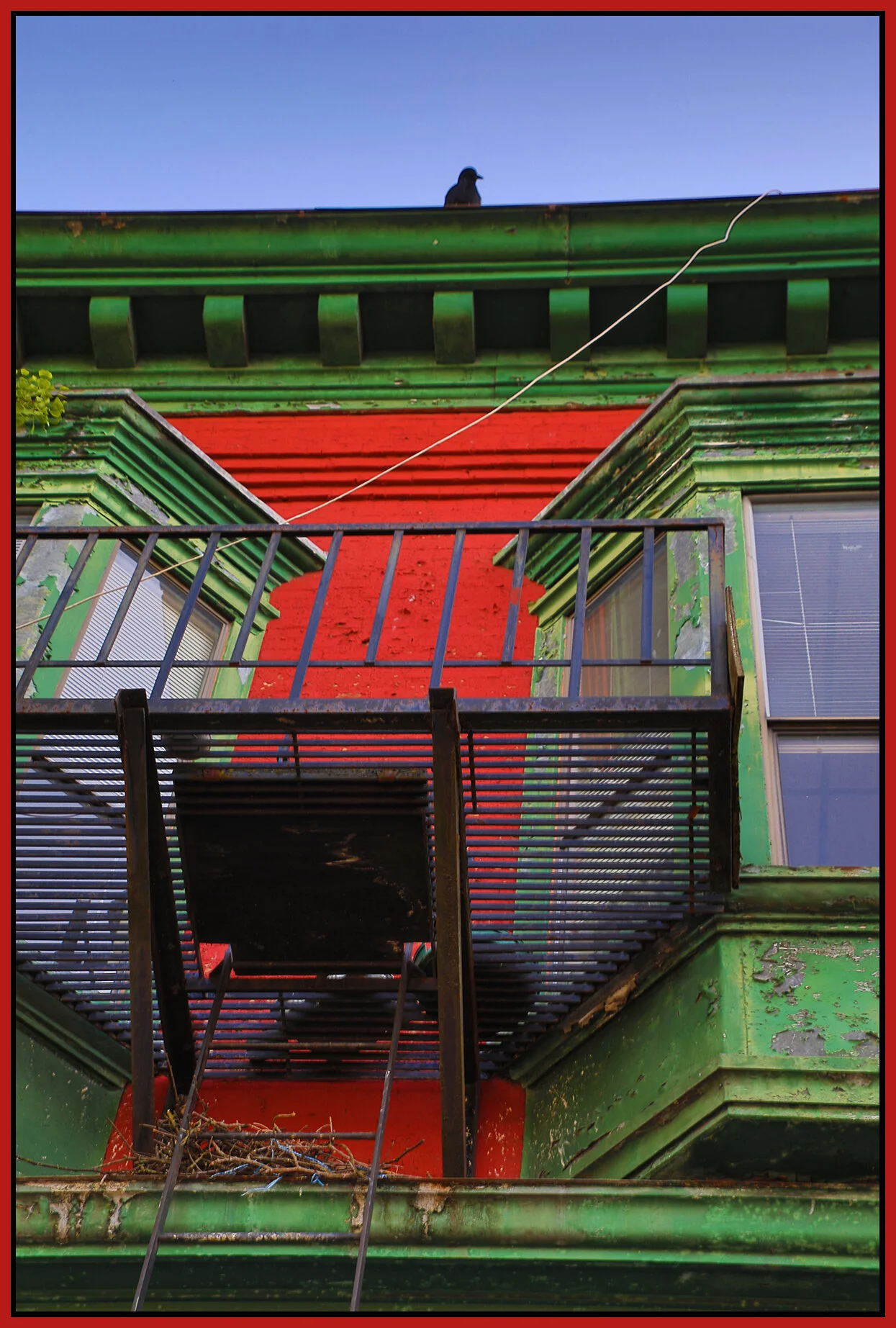 Chinatown_Bird_E Pender_May 8_2018_HDR_C7712_4x6s.jpg