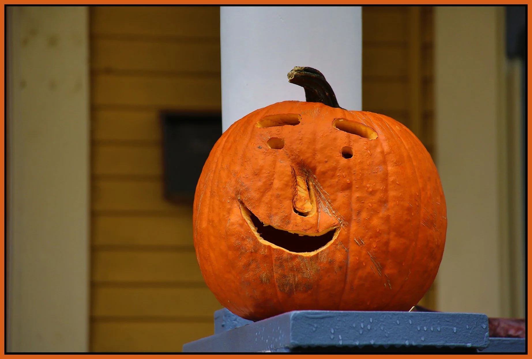 Pumpkin_Nov 2_2015_FH9473_4x6s.jpg