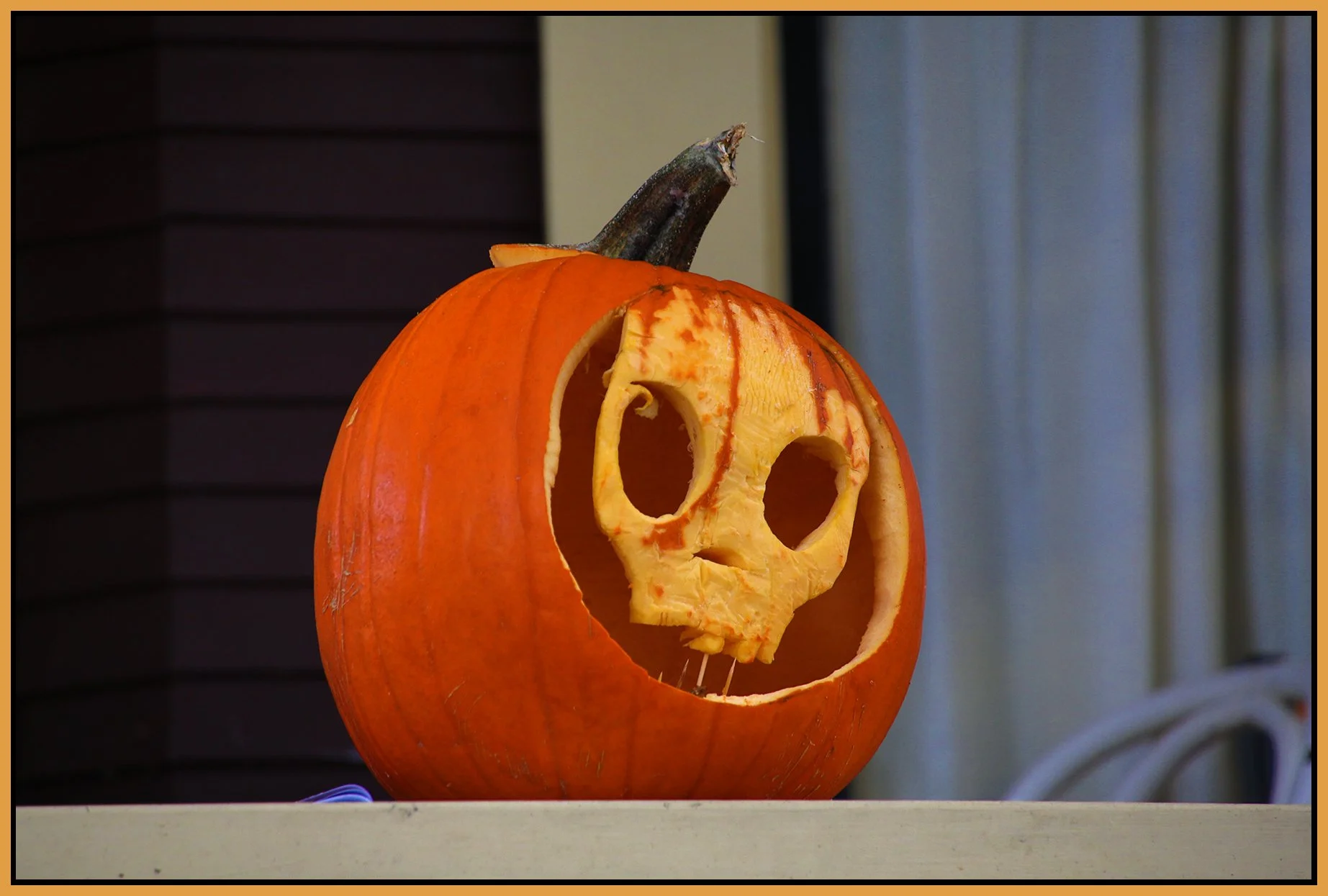 Pumpkins_Nov 2_2015_HDR_H9553_4x6s.jpg