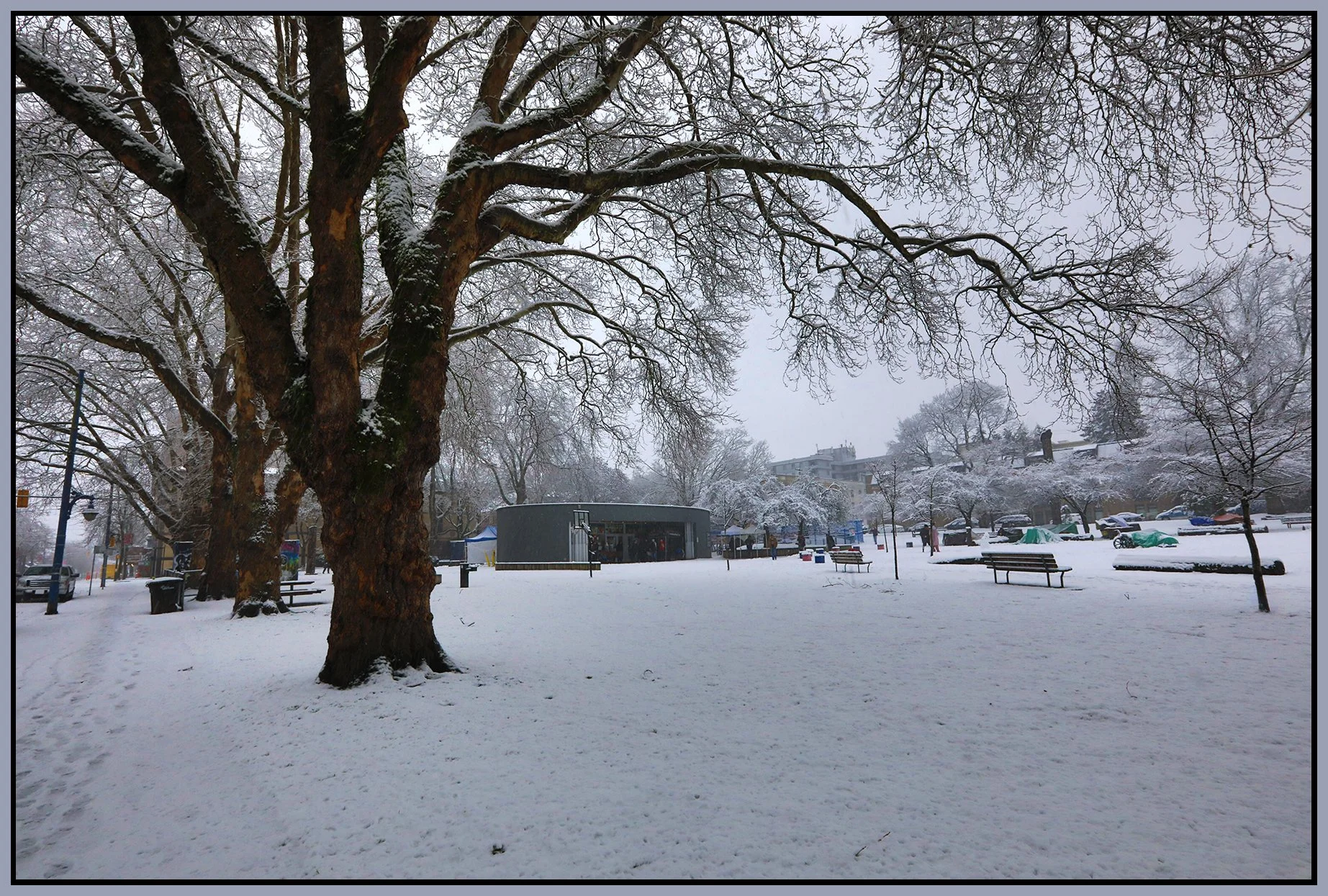 Oppenheimer Park Trees LkgSE_Feb 2_2025_HDR_5E9268_4x6s.jpg