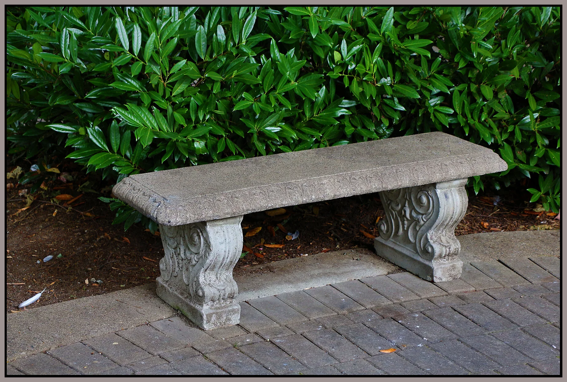 Bench at 1300 W Pender St_Jul 24_2020_HDR_3B9413_4x6s.jpg