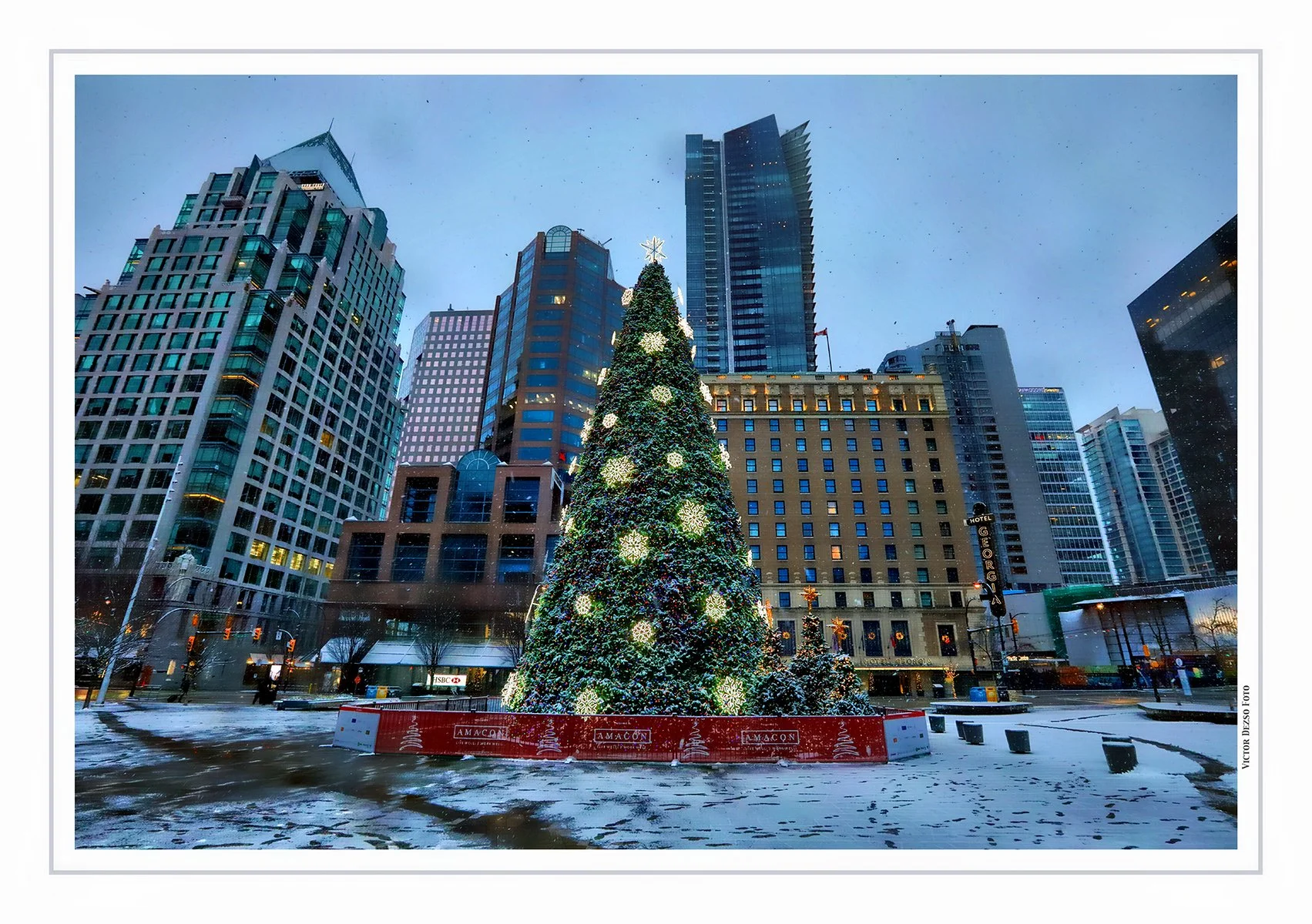 Art Gallery Xmas Tree_Dec 25_2021_HDR_5A4590_peHdr2013_4x6.jpg
