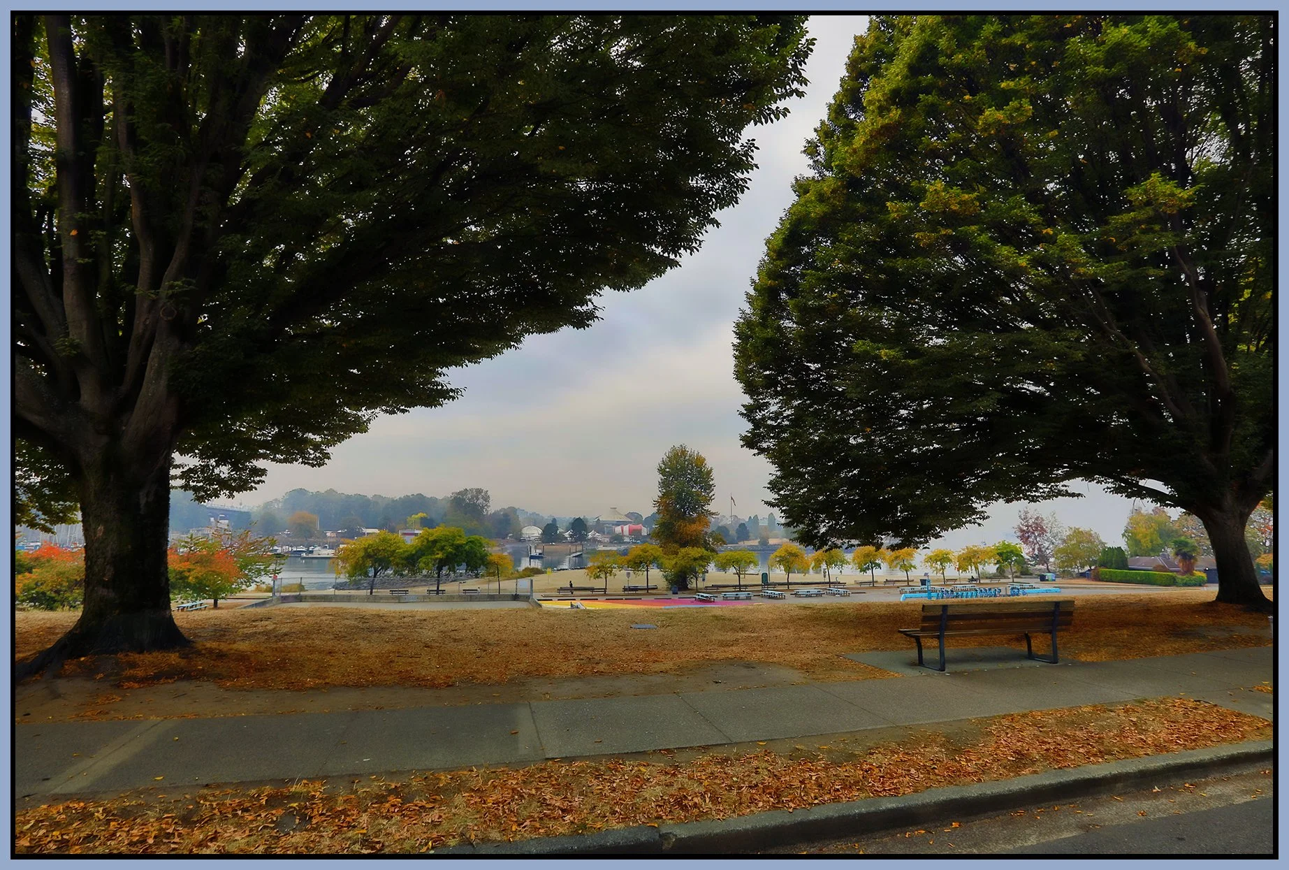 English Bay Trees_Oct 20_2022_HDR_5C4174_peShdngCntrst_4x6s.jpg